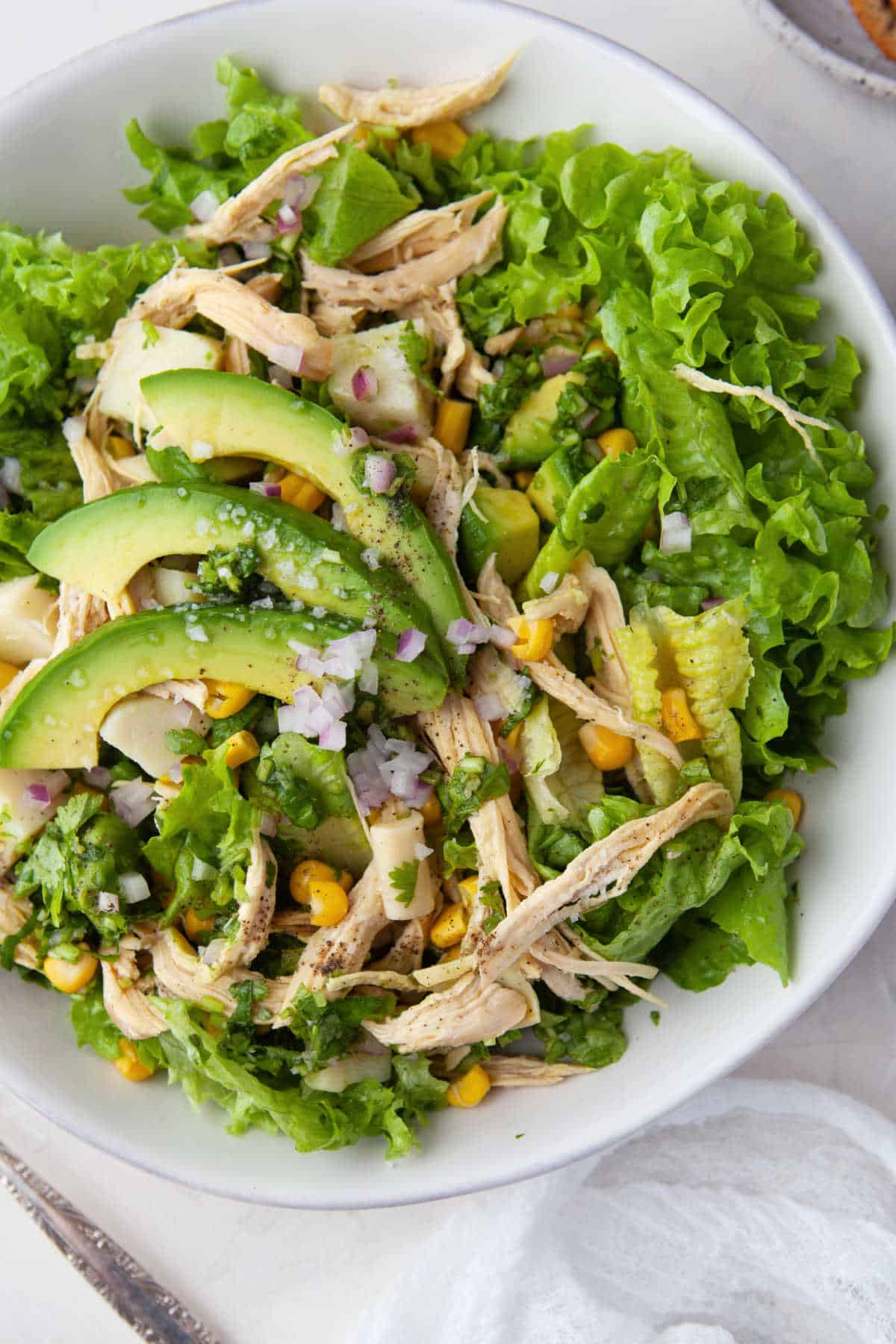 Close up photo of chicken avocado salad on a white plate. 