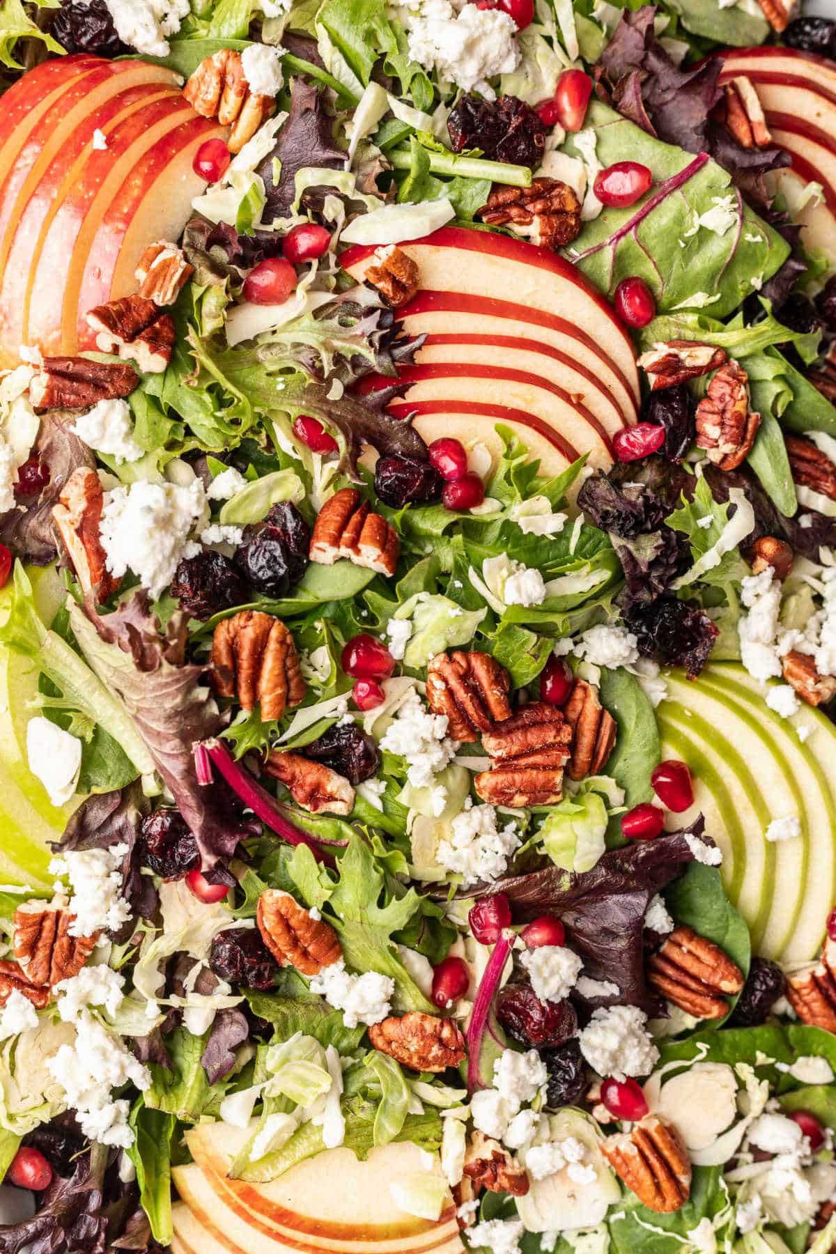 Close up photo of a fall harvest salad with toasted pecans pomegranate seeds and sliced apple. 