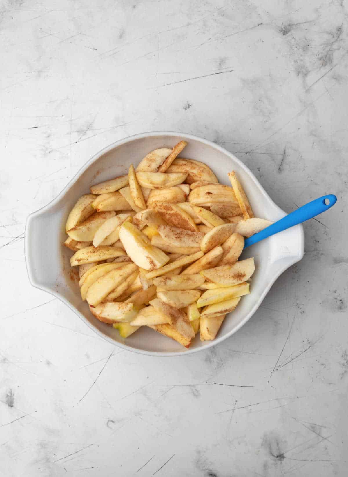 A bowl of apple spices coated in a spice mixture. 