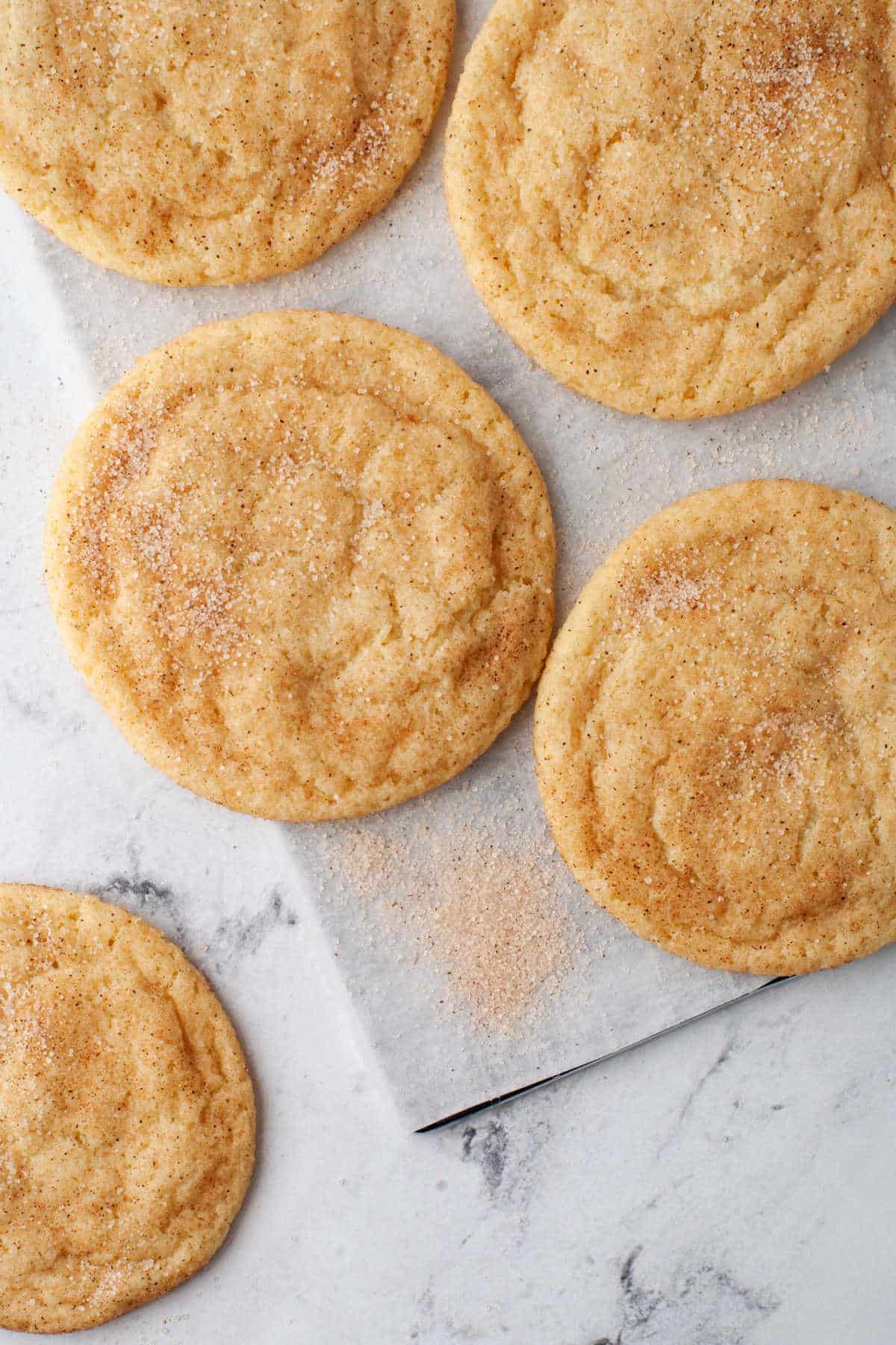 Rows of snickerdoodles on a piece of parchment paper.