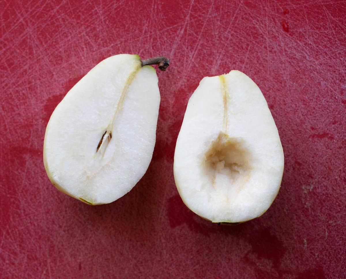 A pear cut in half with the core removed. 
