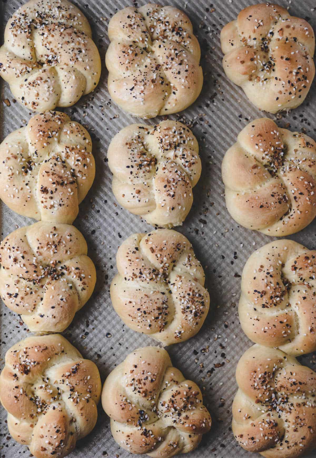 A dozen everything bagel knots in rows. 