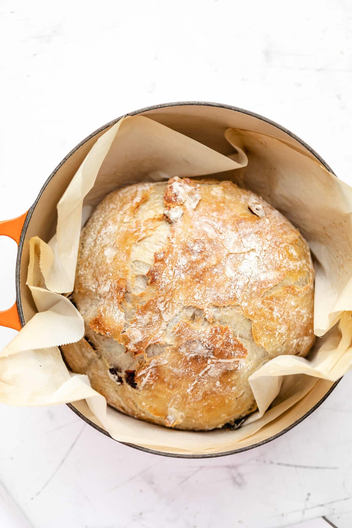 A loaf of no knead cranberry bread in a Dutch oven. 