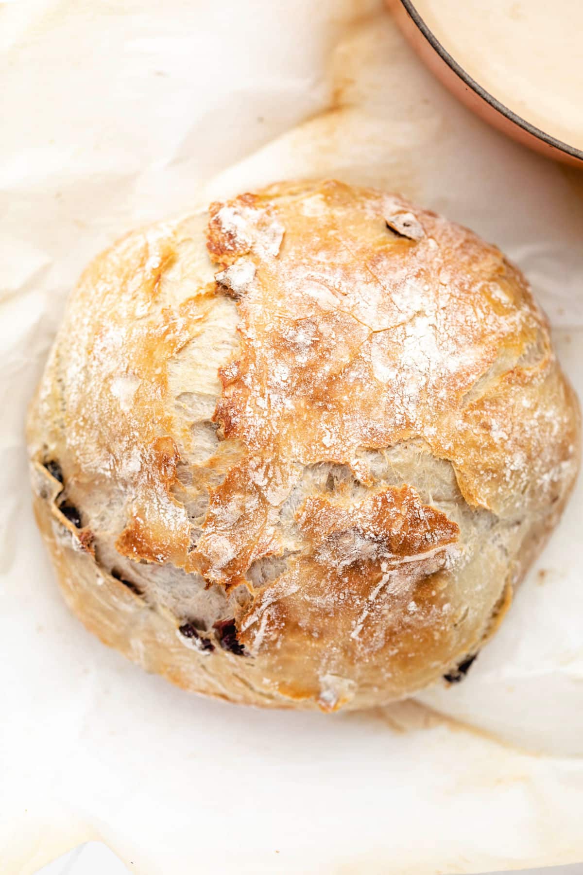 A loaf of no knead cranberry bread next to a Dutch oven. 