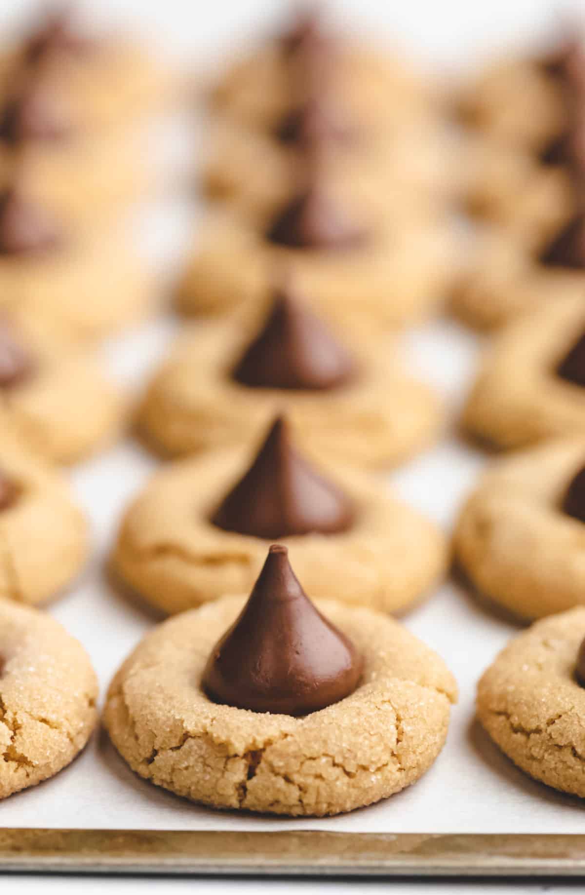 A row of peanut blossom cookies on a parchment lined cookie sheet. 