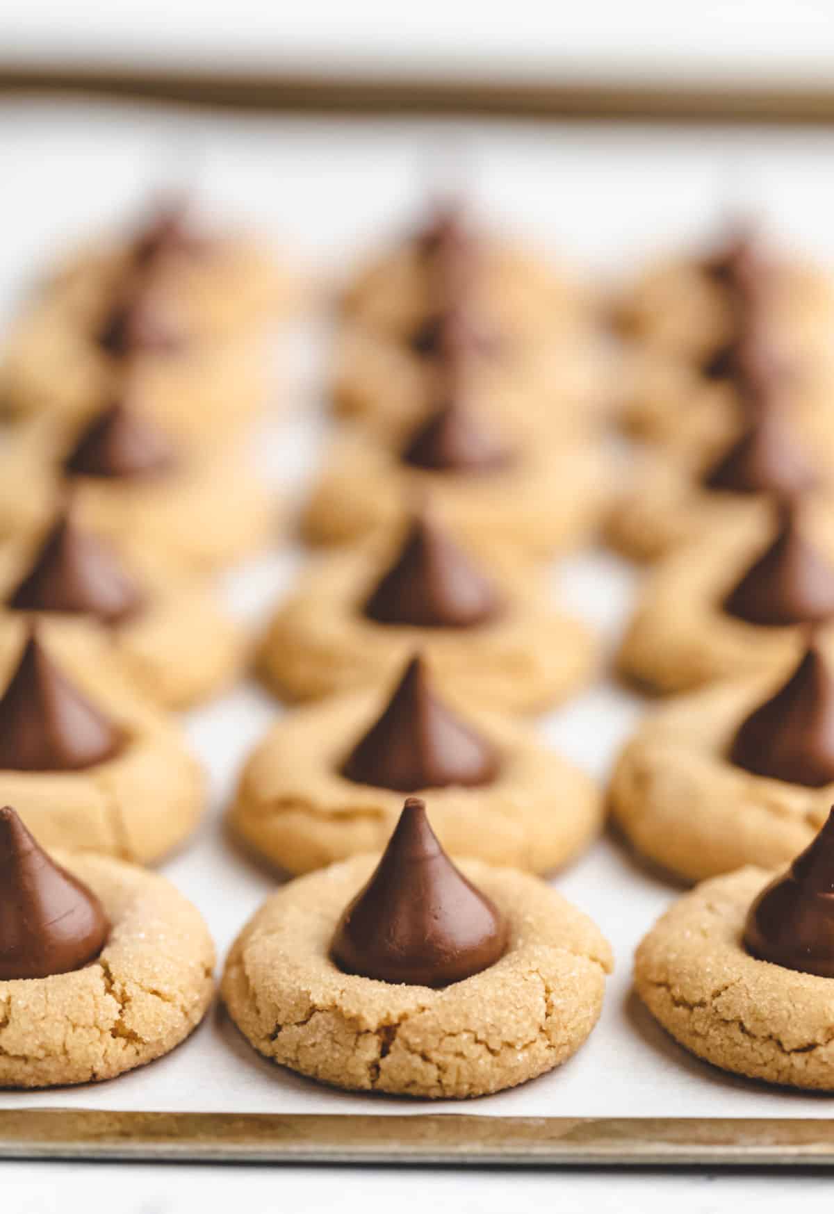 Three rows of peanut butter blossoms on a piece of white parchment paper. 