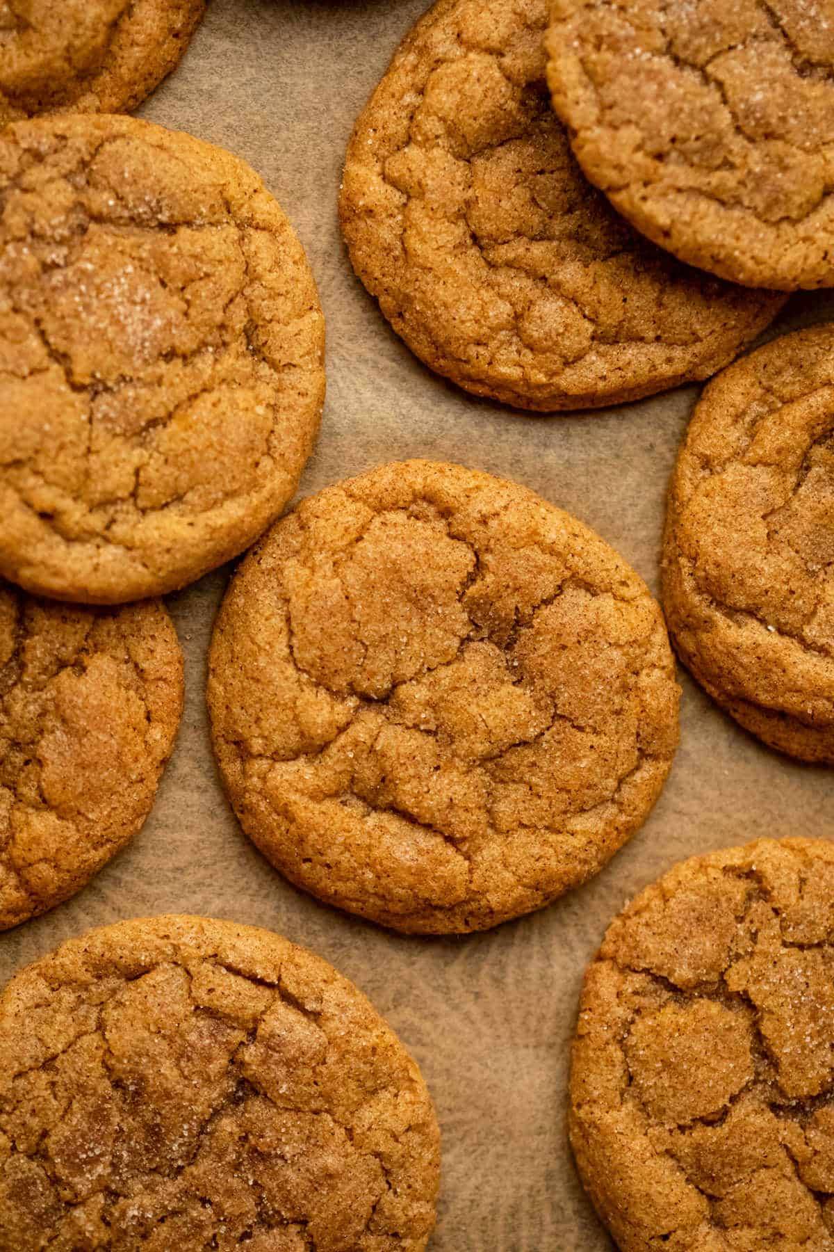 Overlapping pumpkin snickerdoodles on a piece of brown parchment paper. 