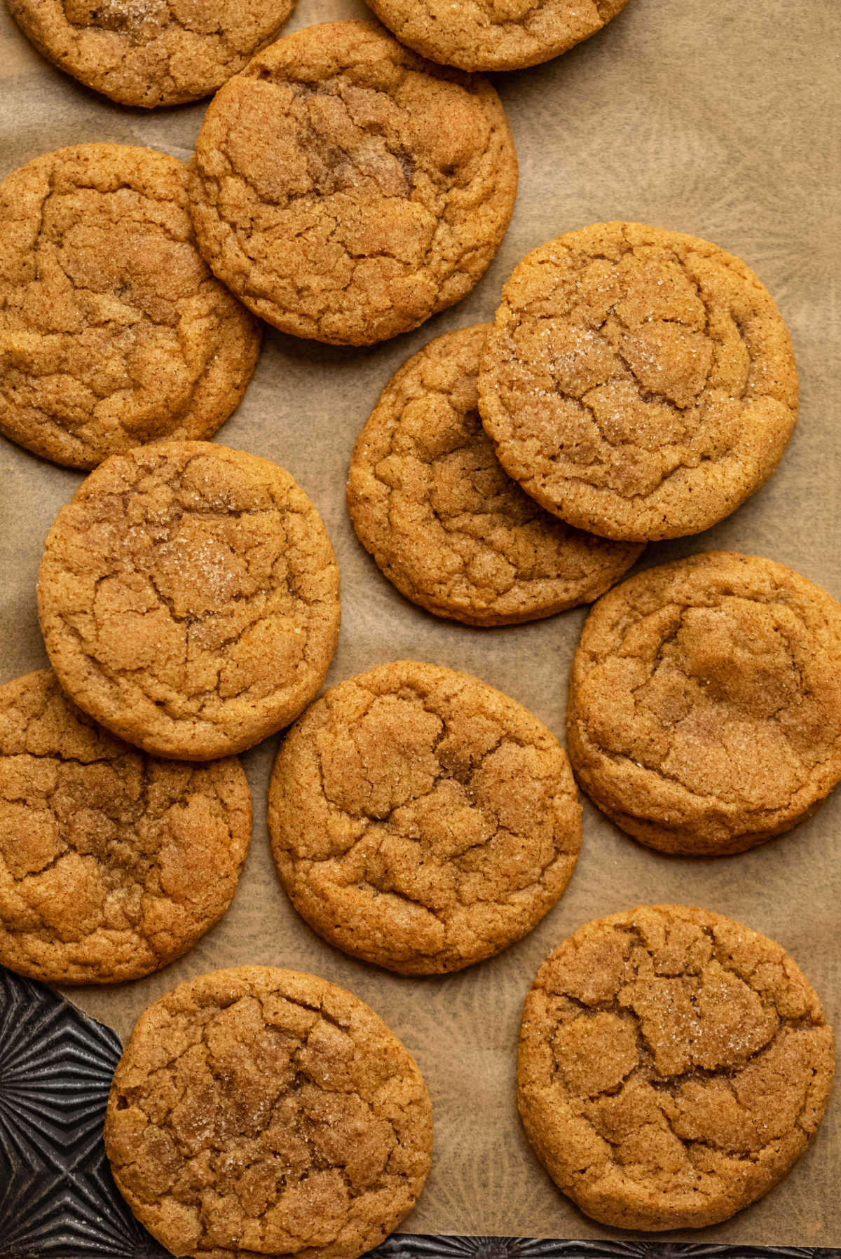 Overlapping rows of pumpkin snickerdoodles on a vintage baking sheet. 