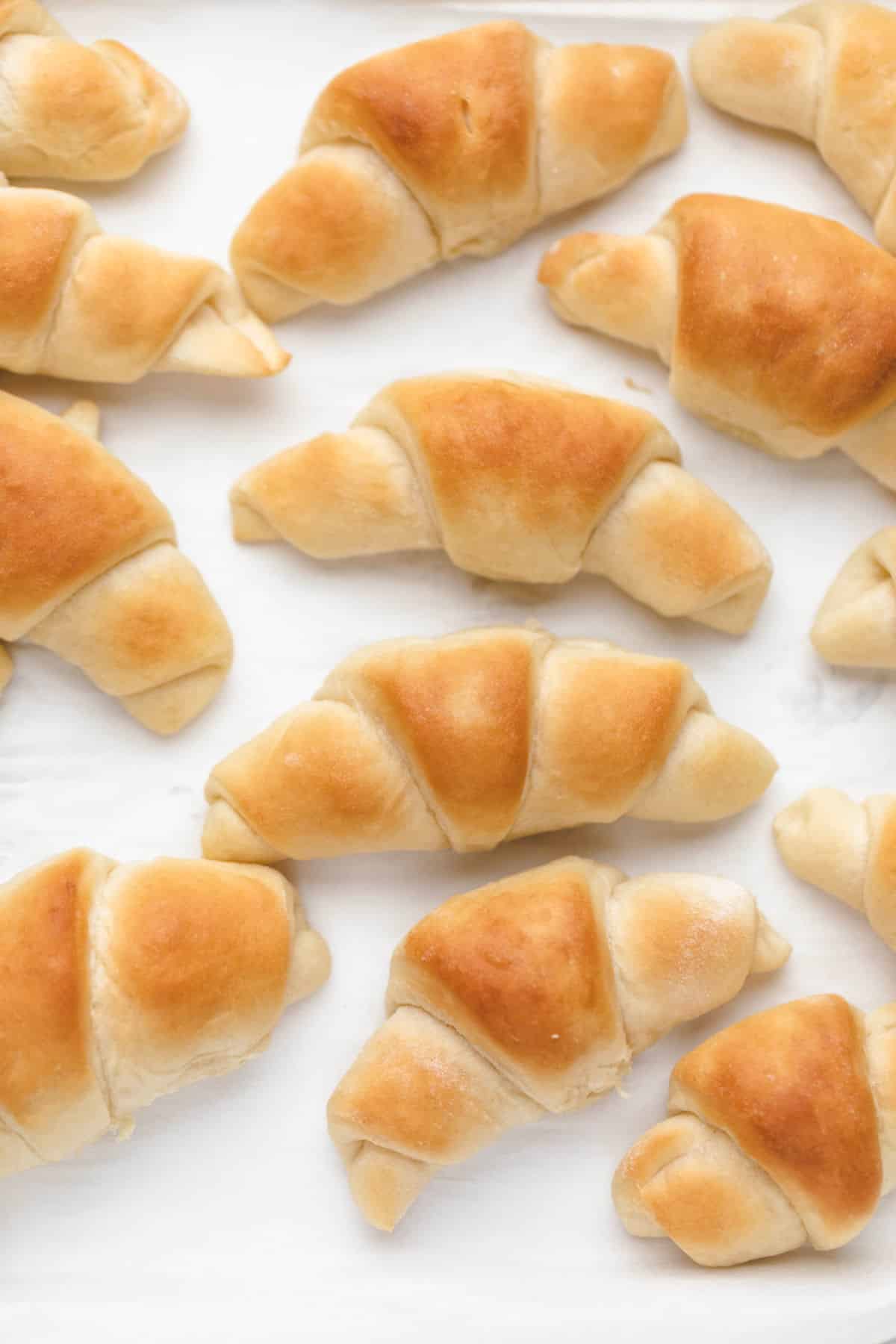 Homemade crescent rolls on a piece of parchment paper. 