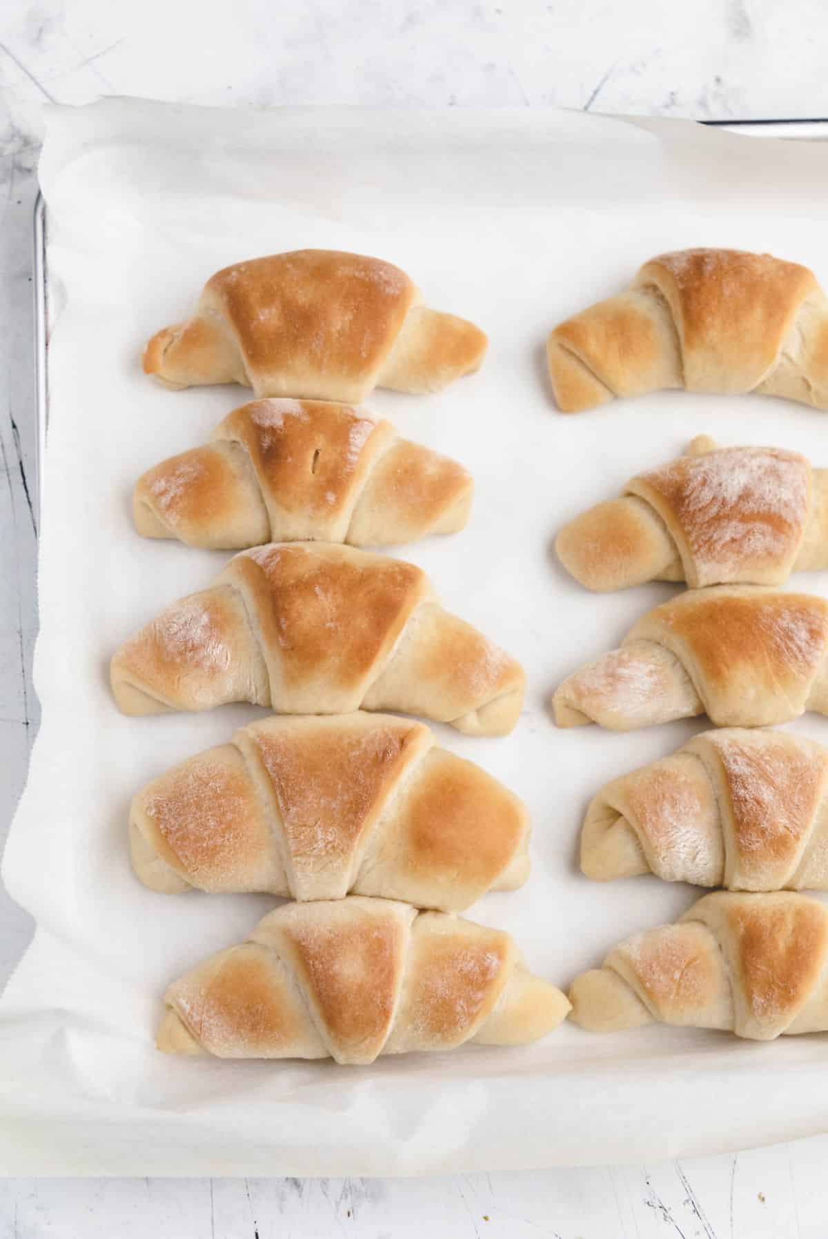 Baked crescent rolls in rows on a tray.