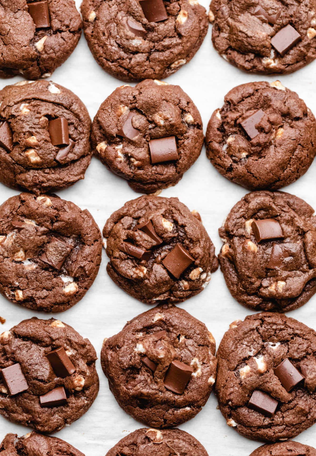 Rows of hot chocolate cookies on parchment paper. 
