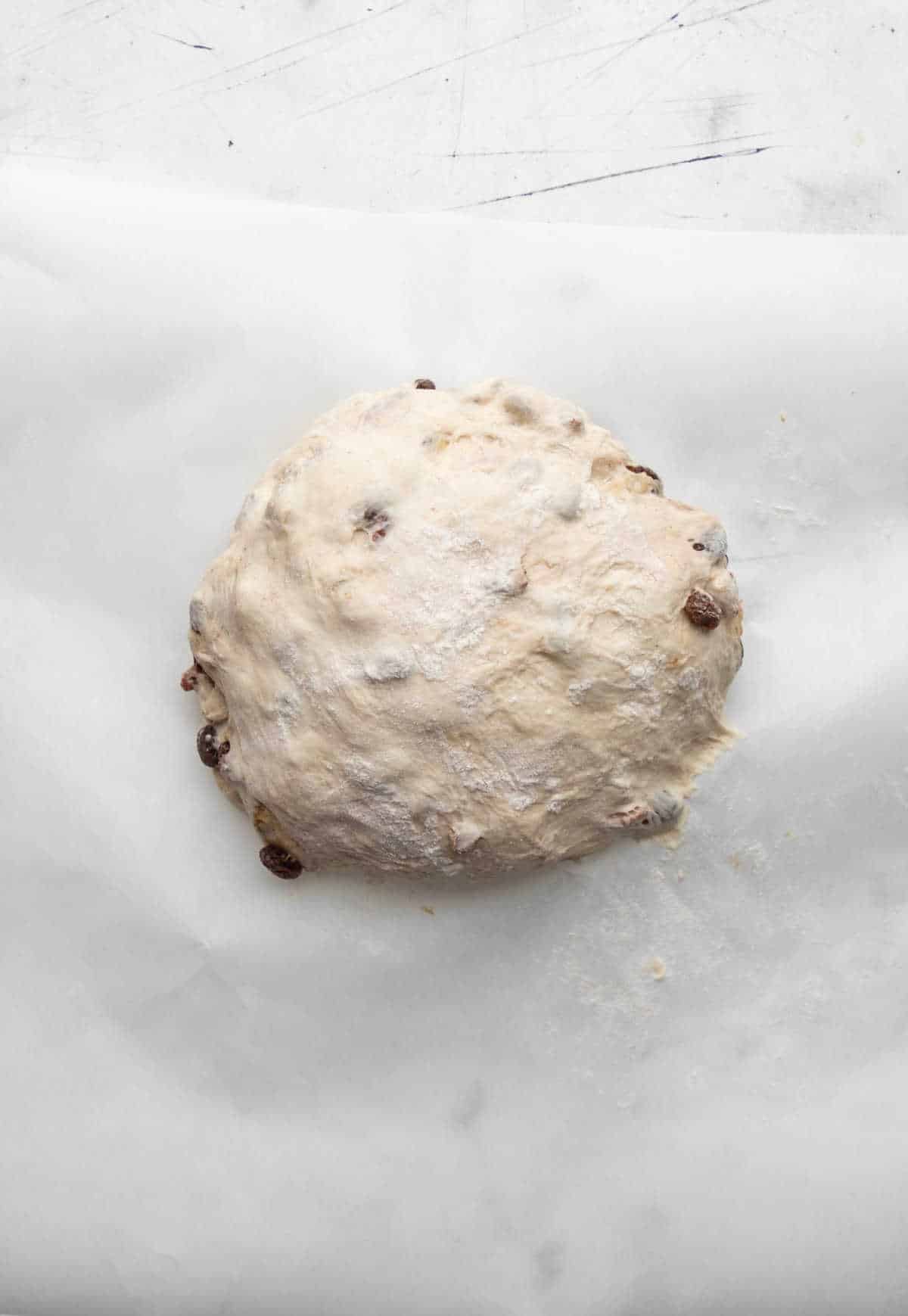 No knead cinnamon raisin bread dough on a piece of parchment paper. 