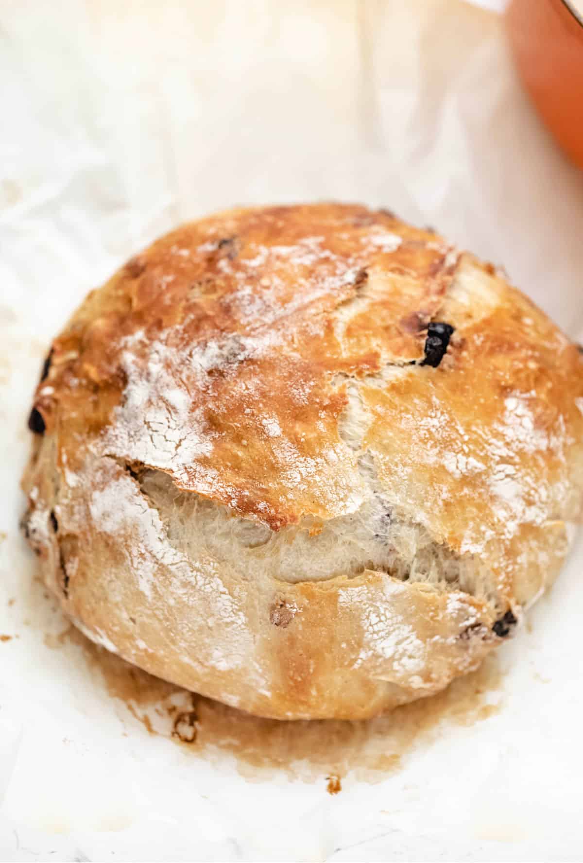 A loaf of no knead cinnamon raisin bread next to a Dutch oven. 