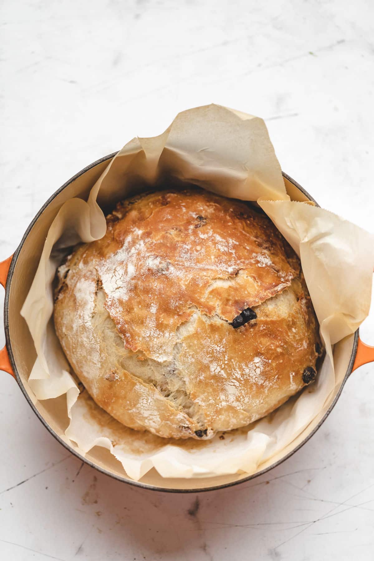 A loaf of no knead cinnamon raisin bread in a Dutch oven.
