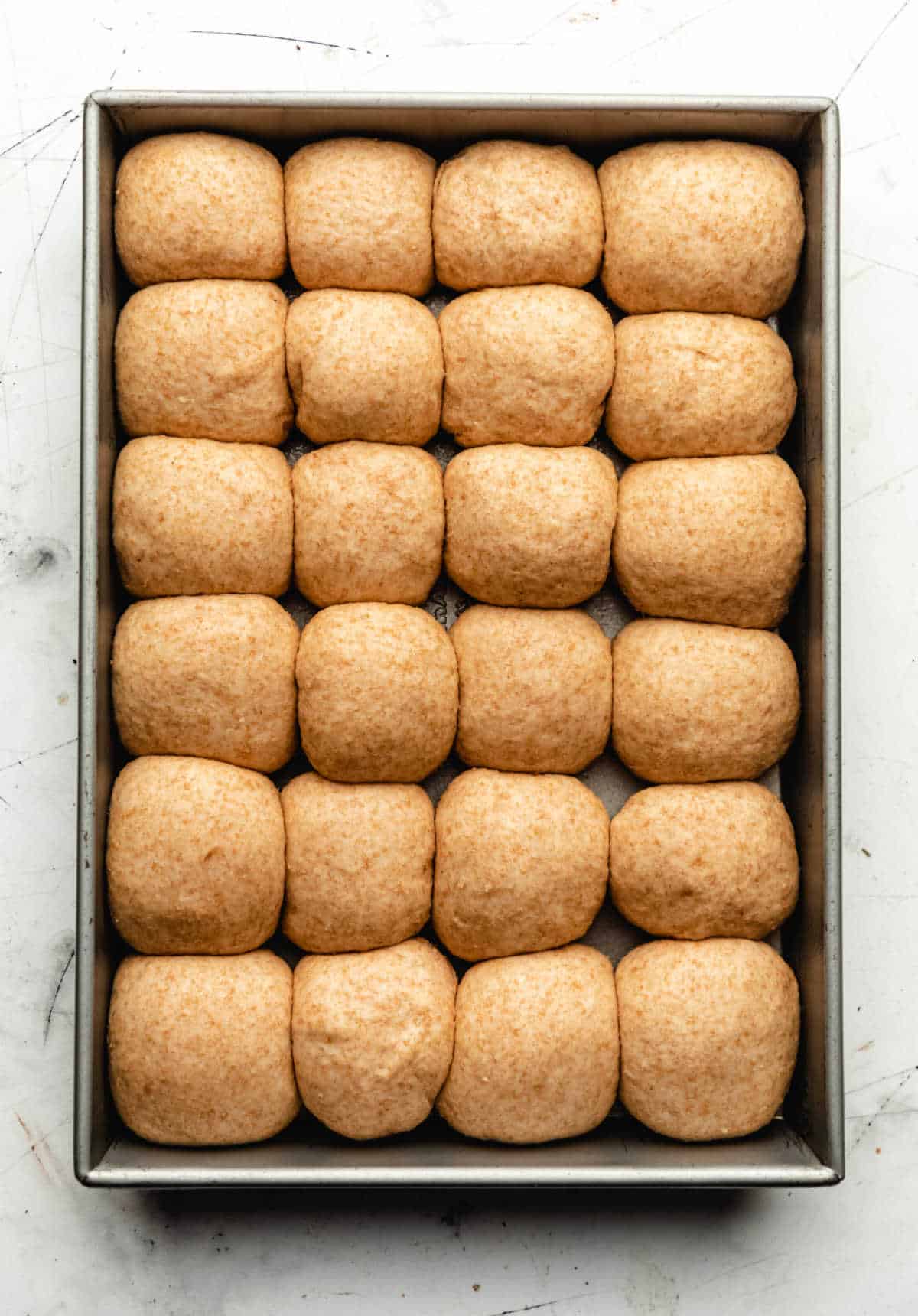 Twenty four risen rolls in a baking pan. 