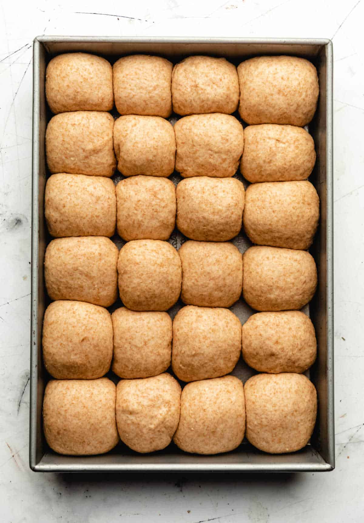 Twenty four risen rolls in a baking pan.