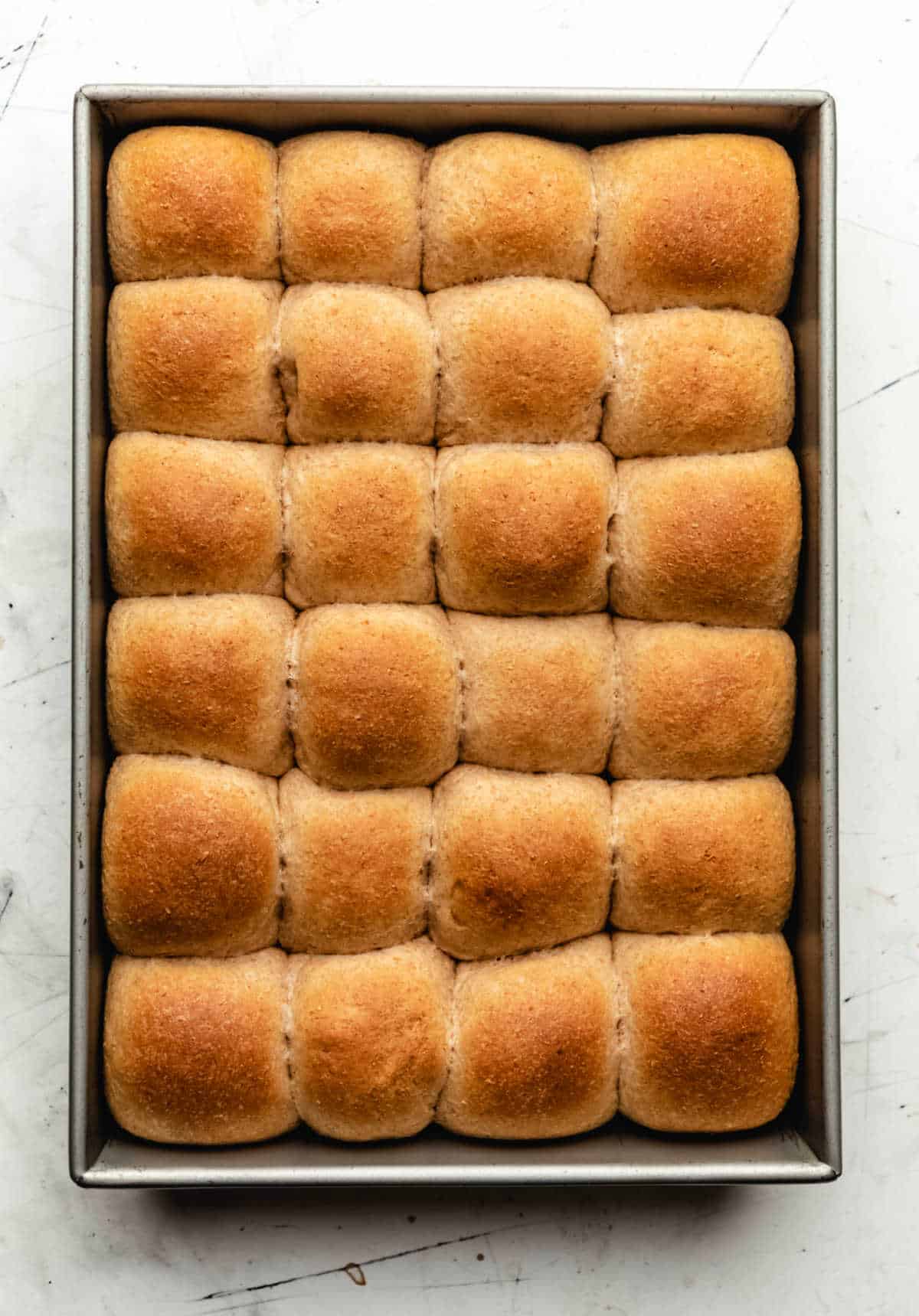 Baked whole wheat dinner rolls in a baking pan.