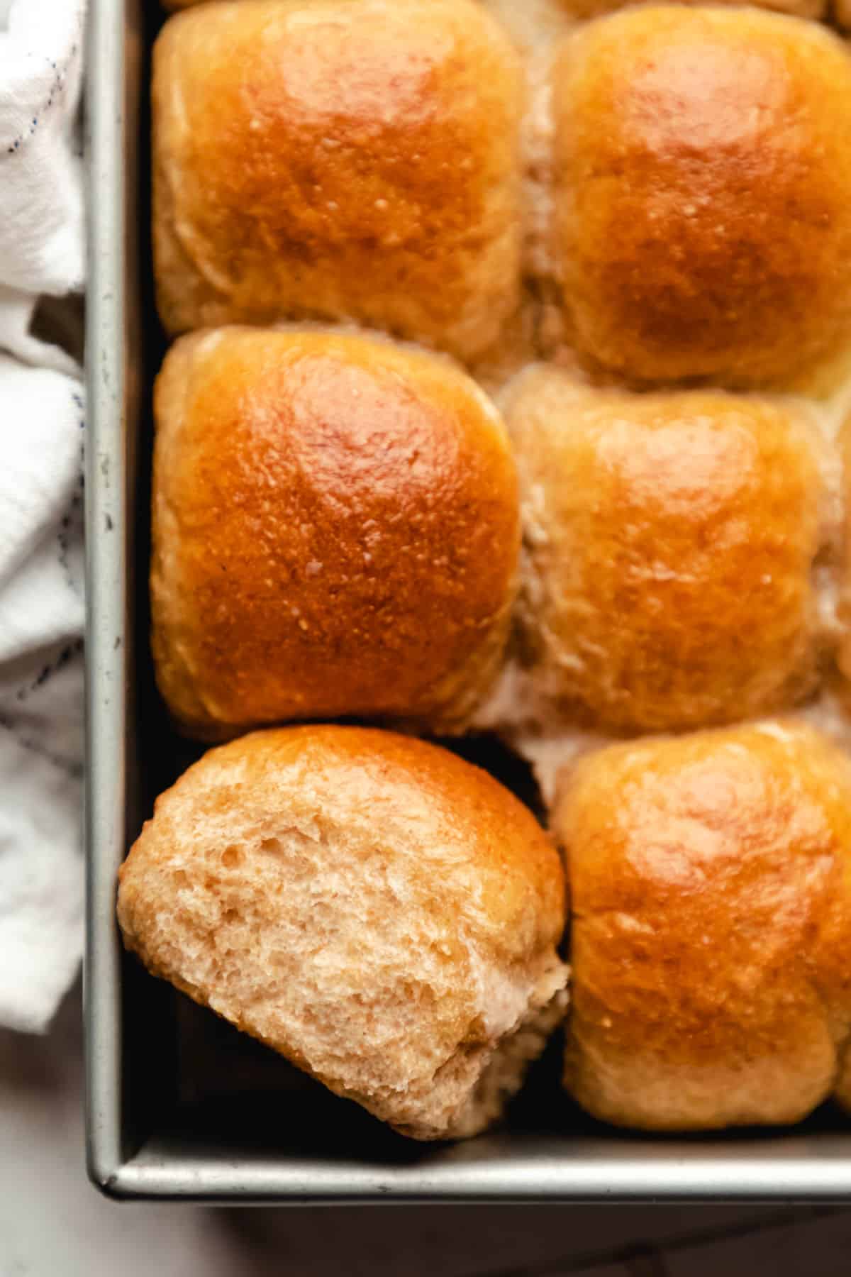 One whole wheat dinner roll on its side in a pan of rolls.