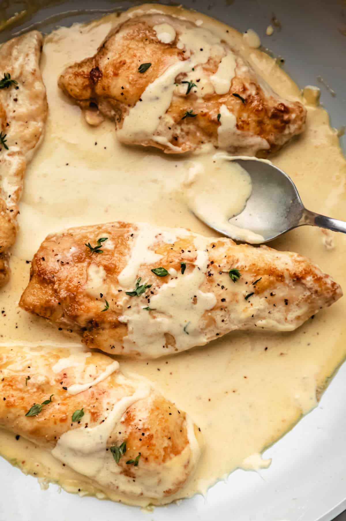 Four chicken breasts covered with creamy mustard sauce.