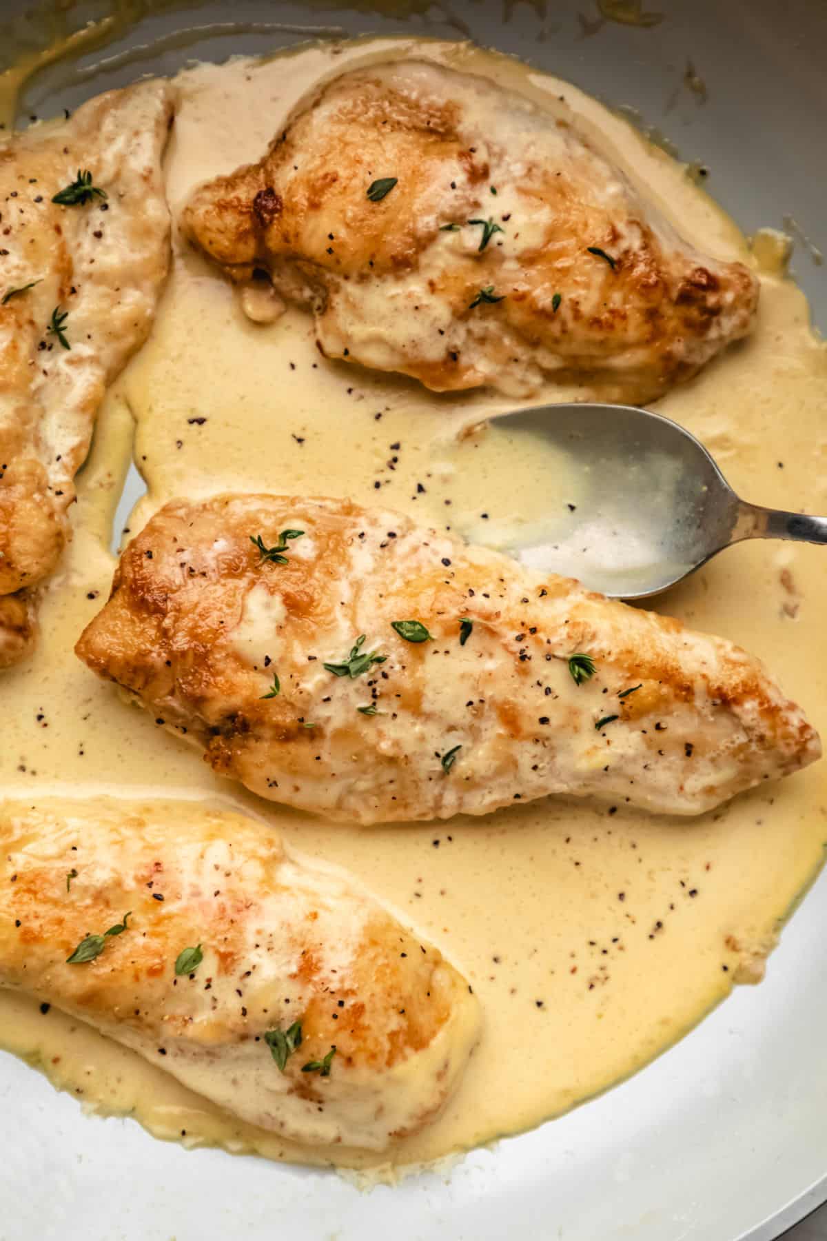 A spoon scooping creamy lemon sauce onto chicken breast. 