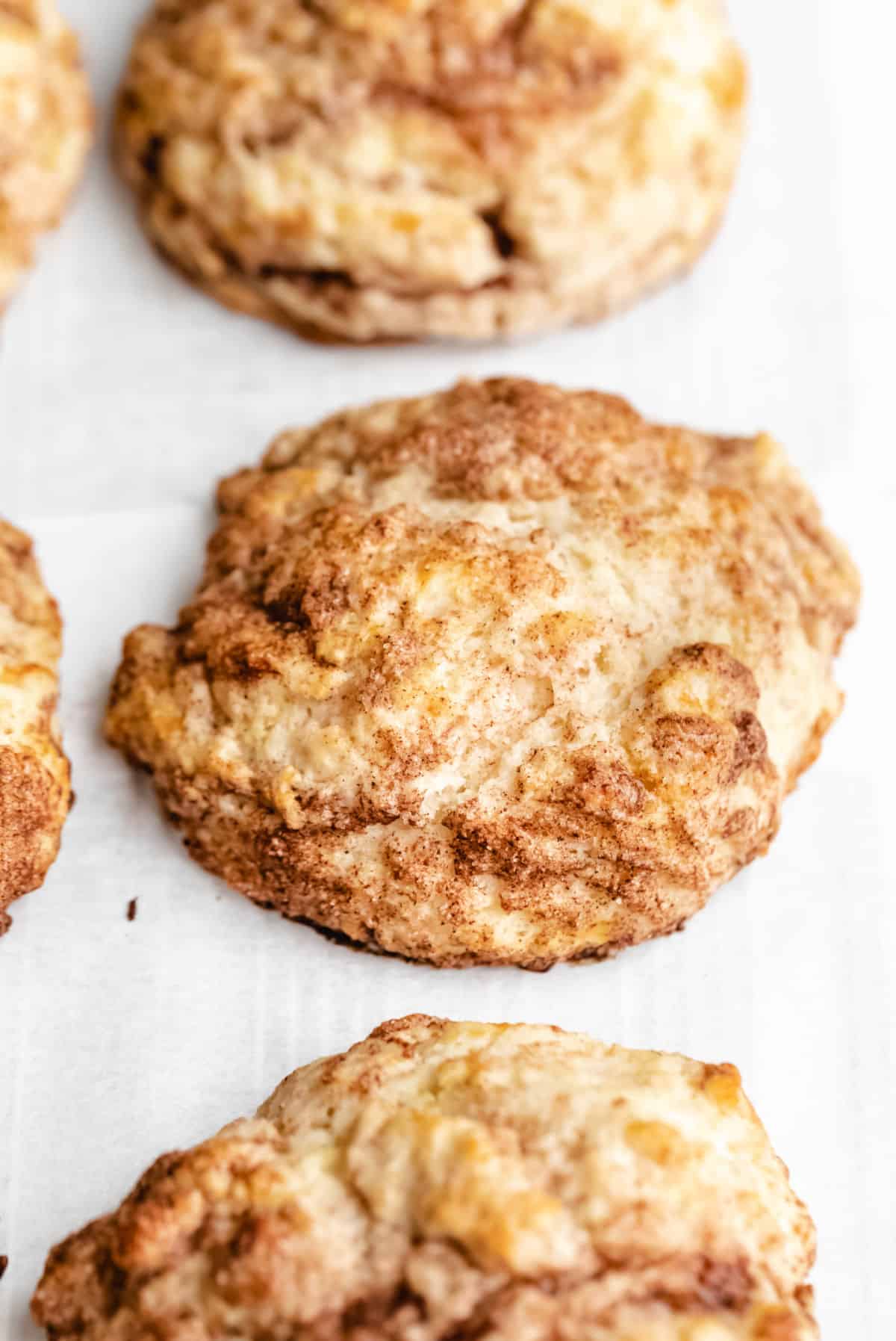 An unfrosted cinnamon swirl biscuit on a piece of white parchment paper. 