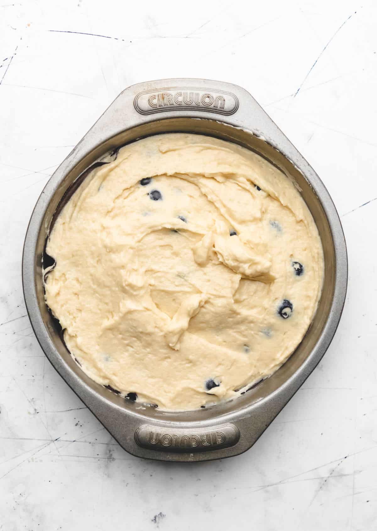 Blueberry cake batter in a pan. 