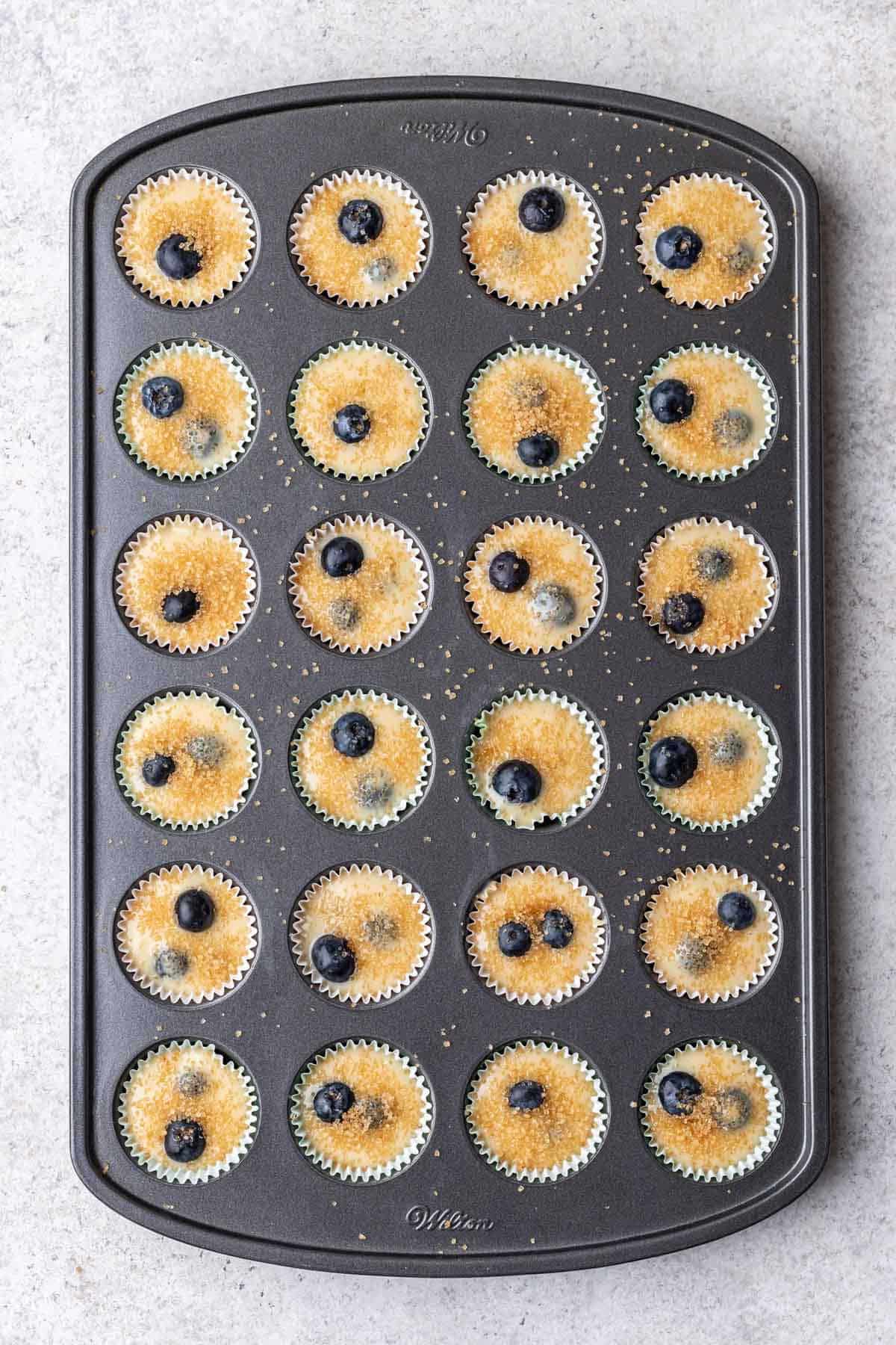 Blueberry muffin batter in a mini muffin tin topped with turbinado sugar.