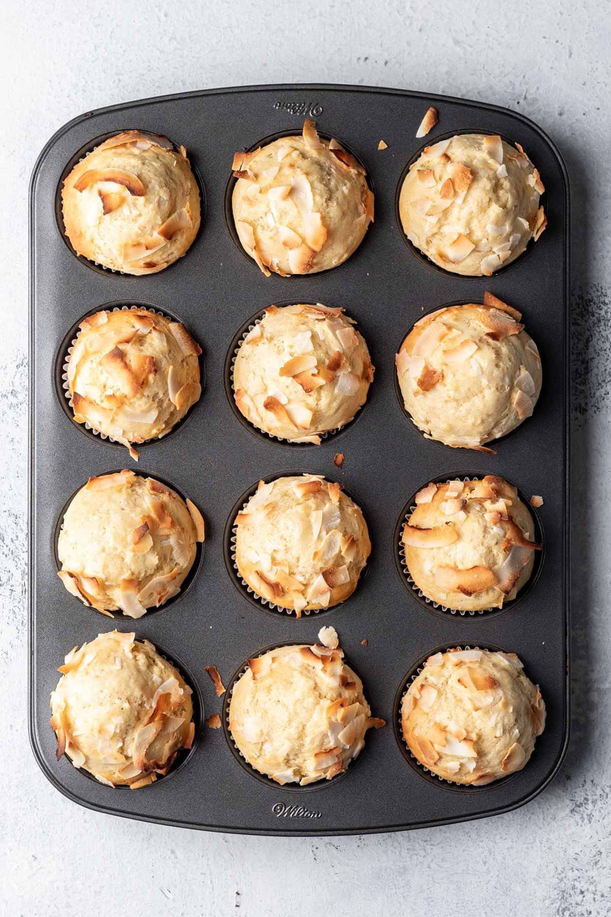 Baked coconut  muffins in a muffin tin.