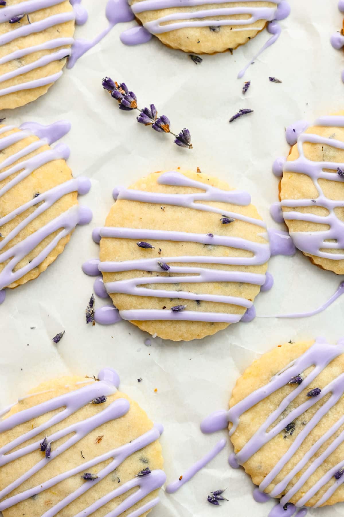 Iced lavender cookies on a piece of parchment paper next to a sprig of lavender.