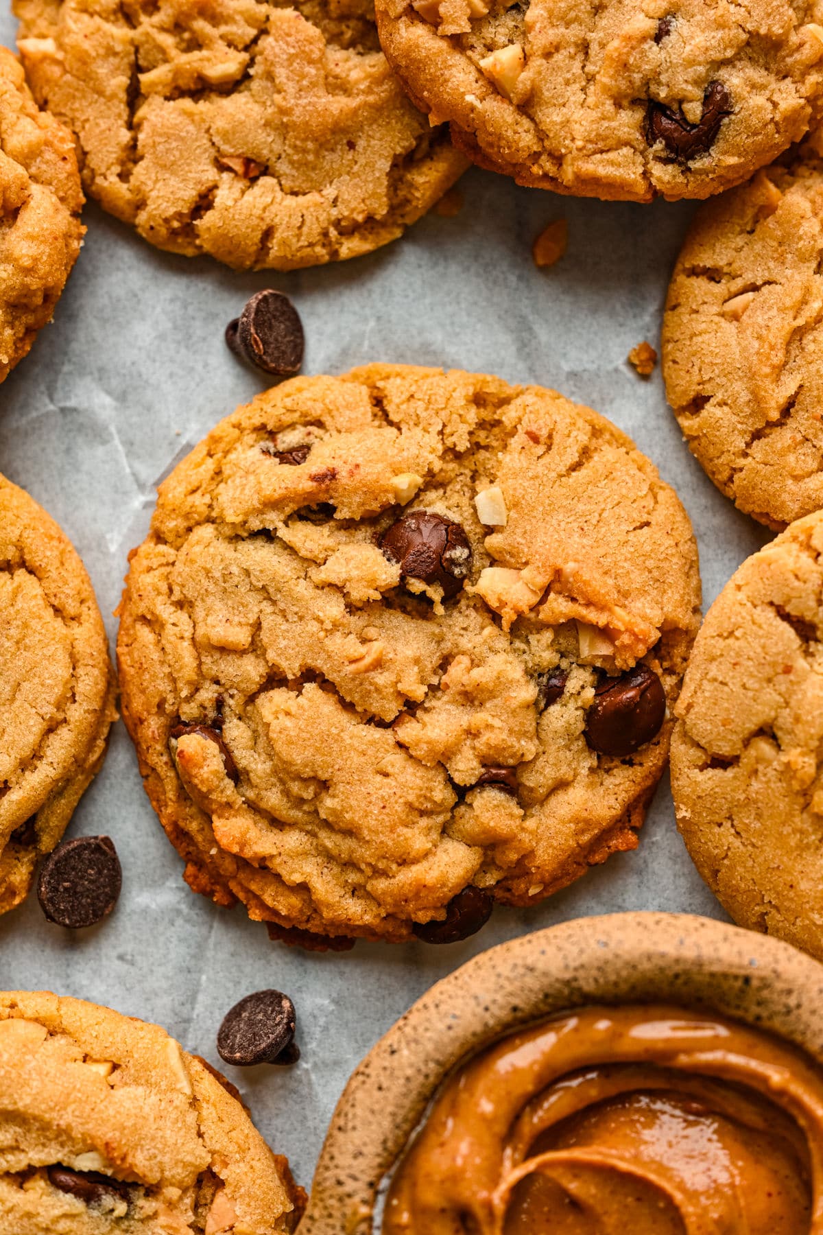 A peanut butter chocolate chip cookie surrounded by cookies.