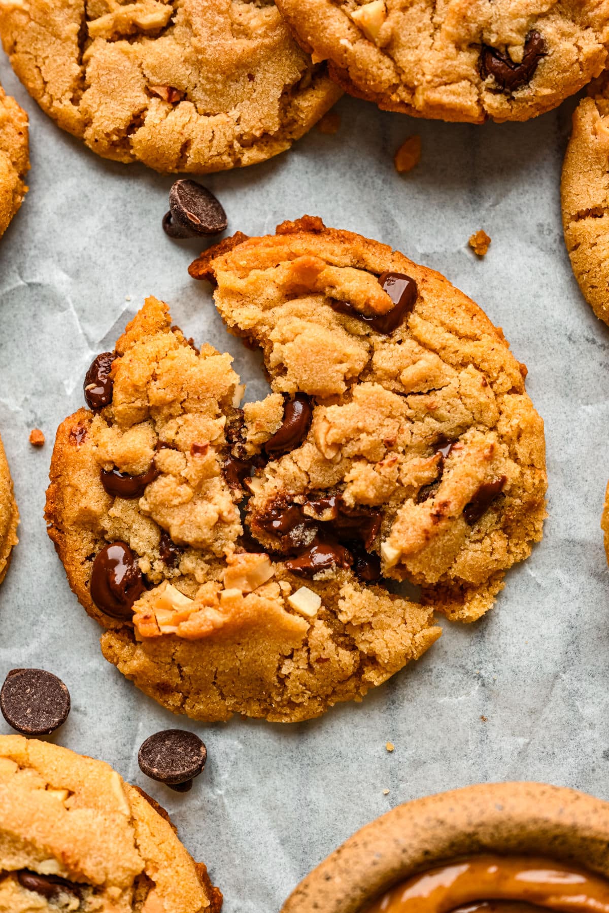 A peanut butter chocolate chip cookie broken in half.