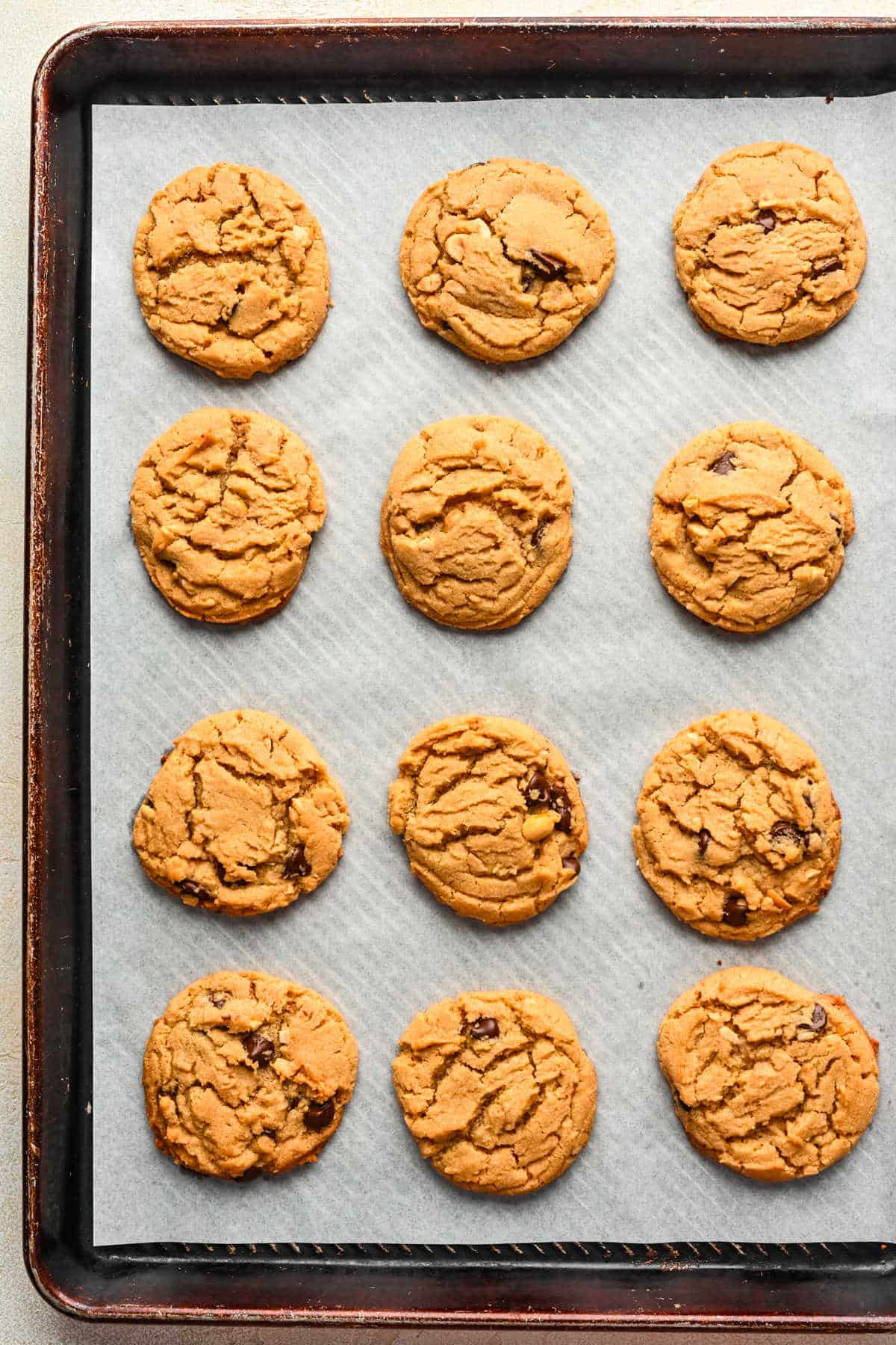 Baked peanut butter chocolate chip cookies on a baking sheet. 