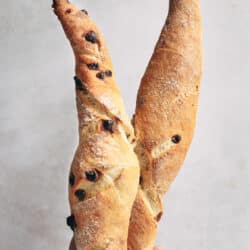 A hand holding two chocolate chip baguettes.