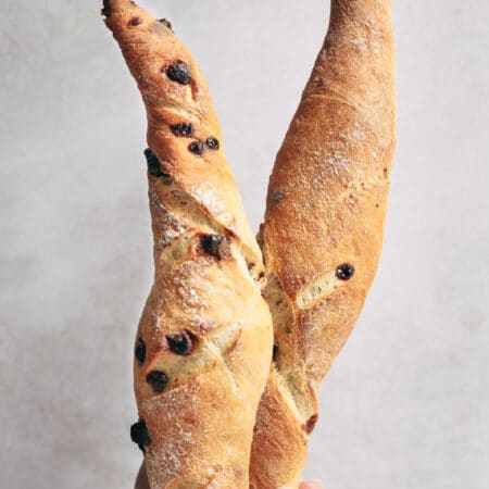 A hand holding two chocolate chip baguettes.