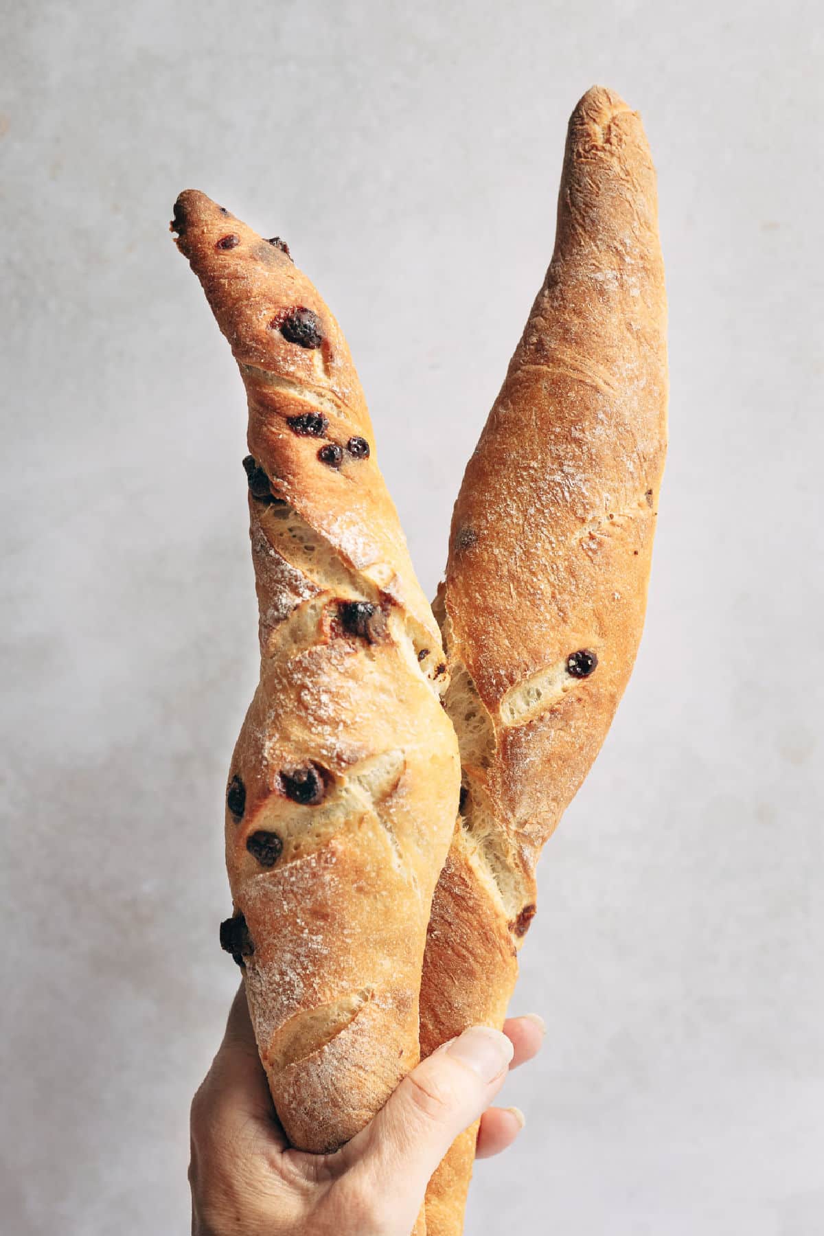 A hand holding two chocolate chip baguettes.