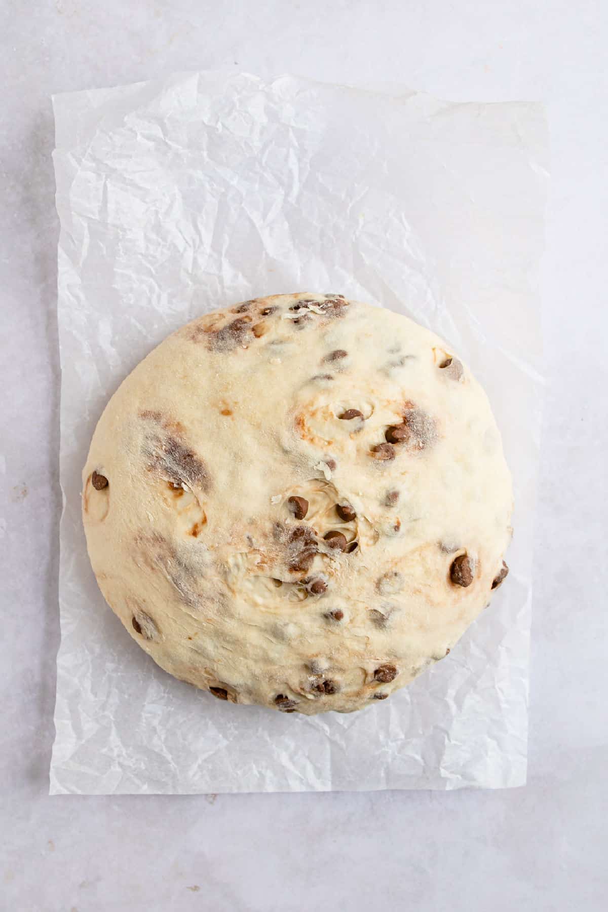 Chocolate chip baguette dough on a piece of white parchment paper. 