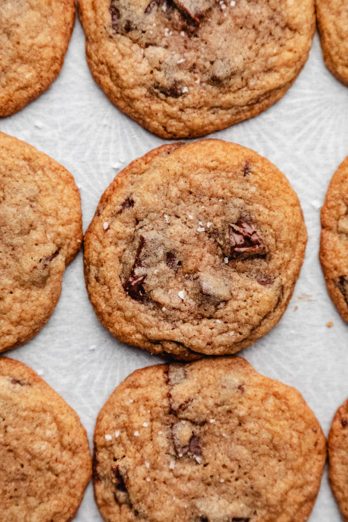 Rows of whole wheat chocolate chip cookies on white parchment paper. 