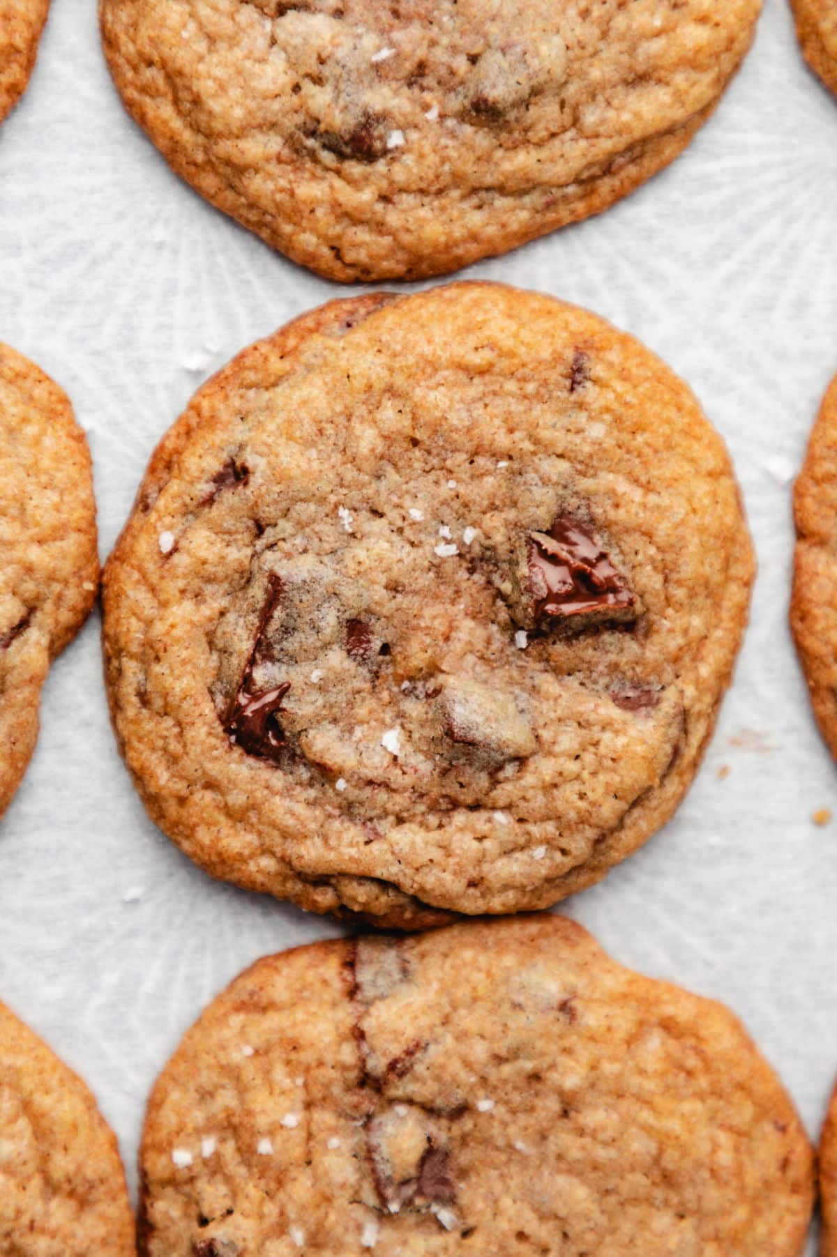 A whole wheat chocolate chip cookie topped with coarse salt on parchment paper. 