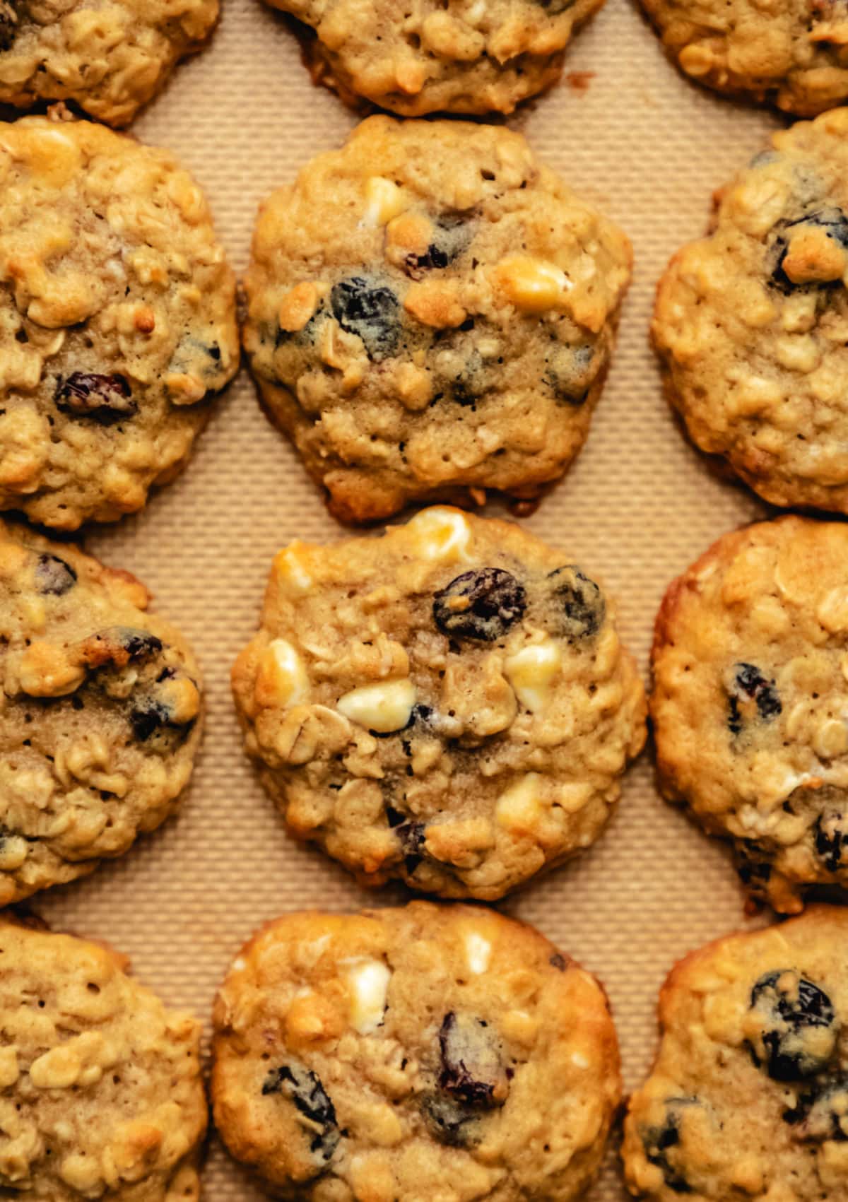 Rows of cranberry oatmeal cookies on a piece of brown parchment paper.