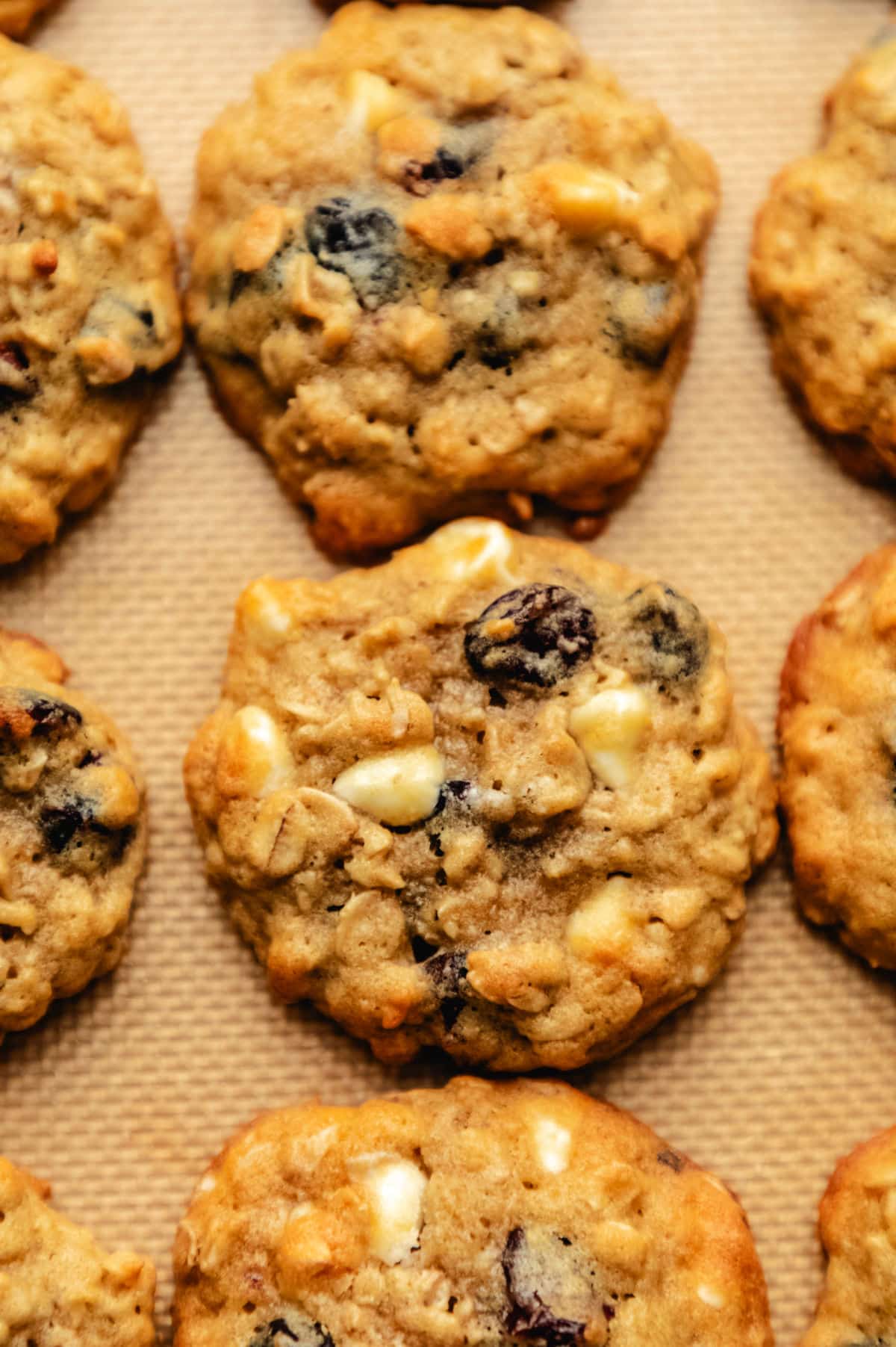 Rows of cranberry oatmeal cookies on a silicone baking mat.