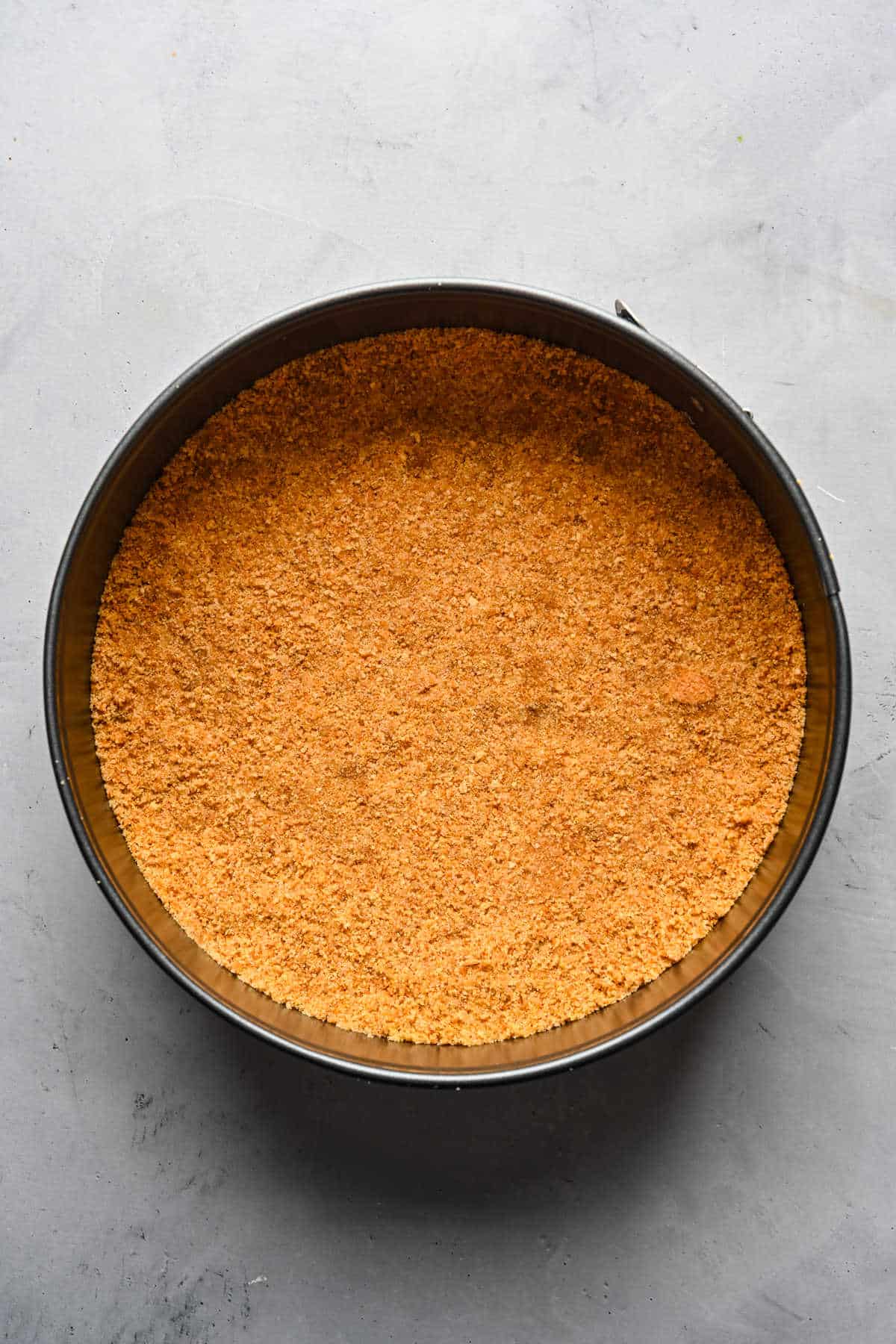 Graham cracker crumbs pressed into a springform pan.