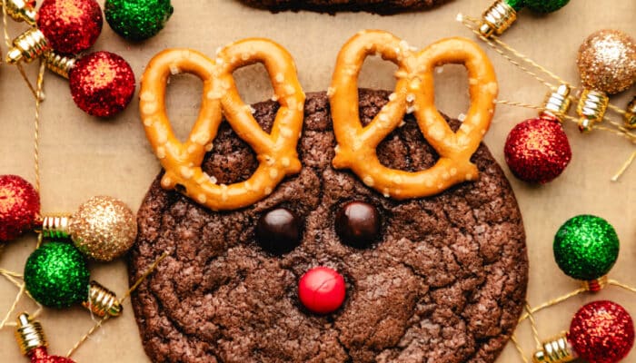 Three reindeer cookies surrounded by Christmas light ornaments.