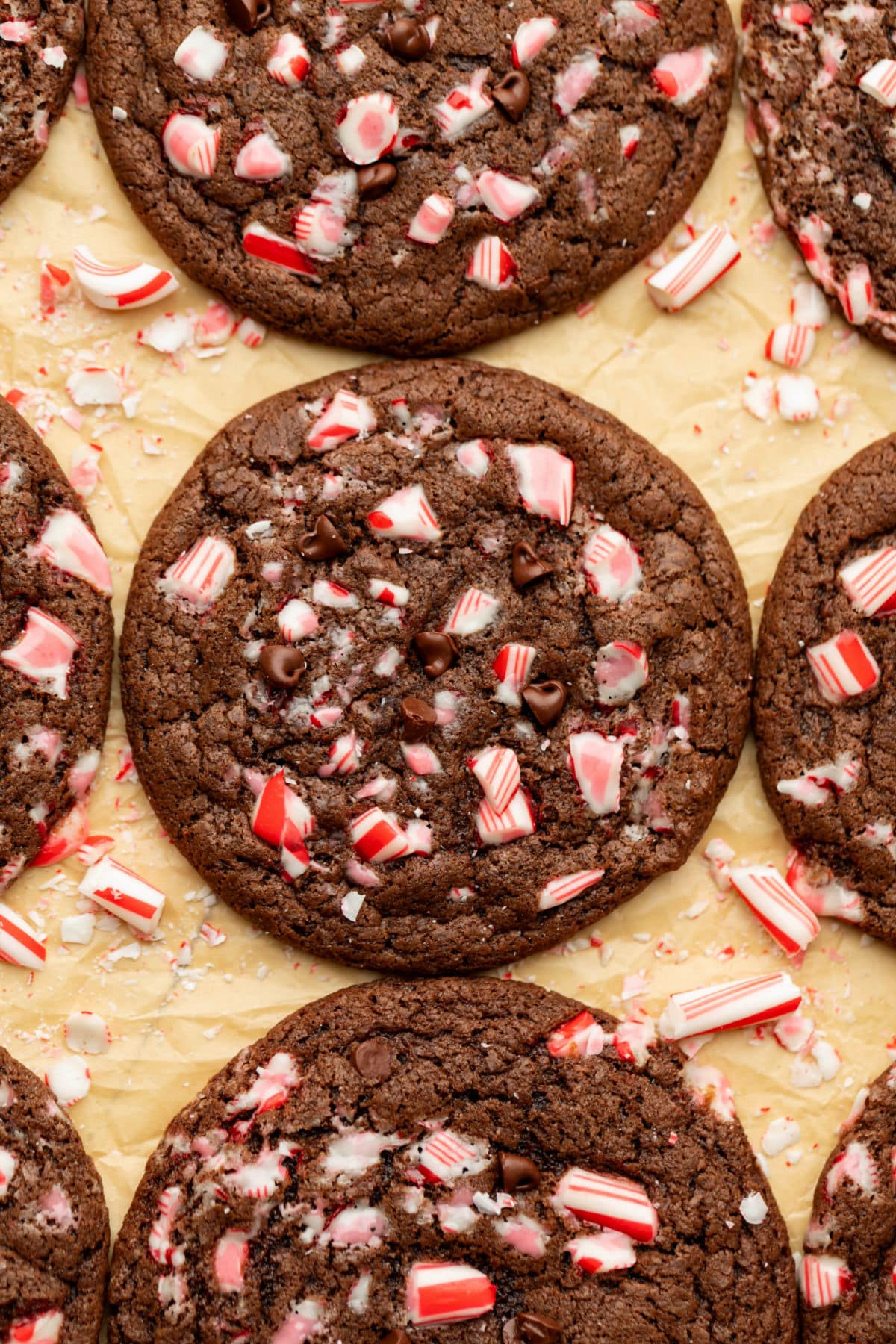 Rows of chocolate peppermint cookies on brown parchment paper surrounded by broken candy canes. 