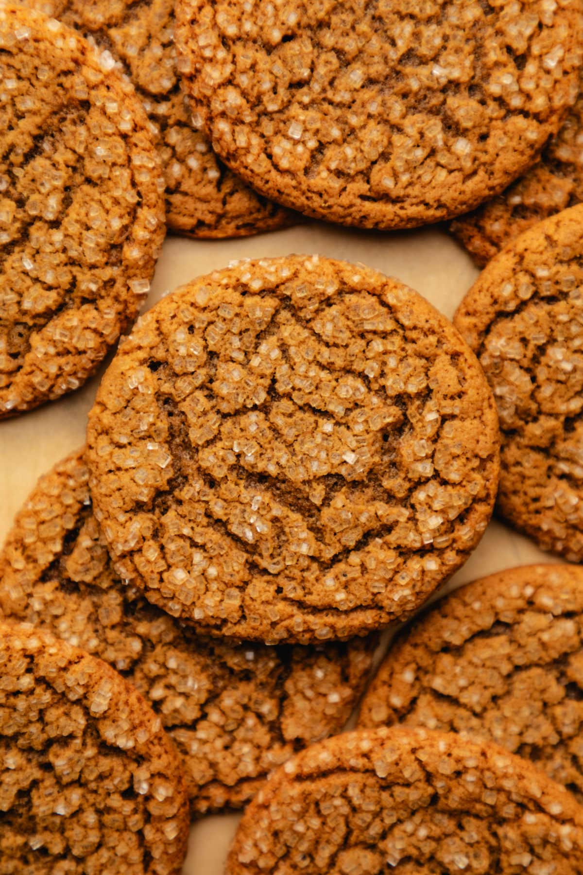 Chewy ginger molasses cookies in overlapping stacks.