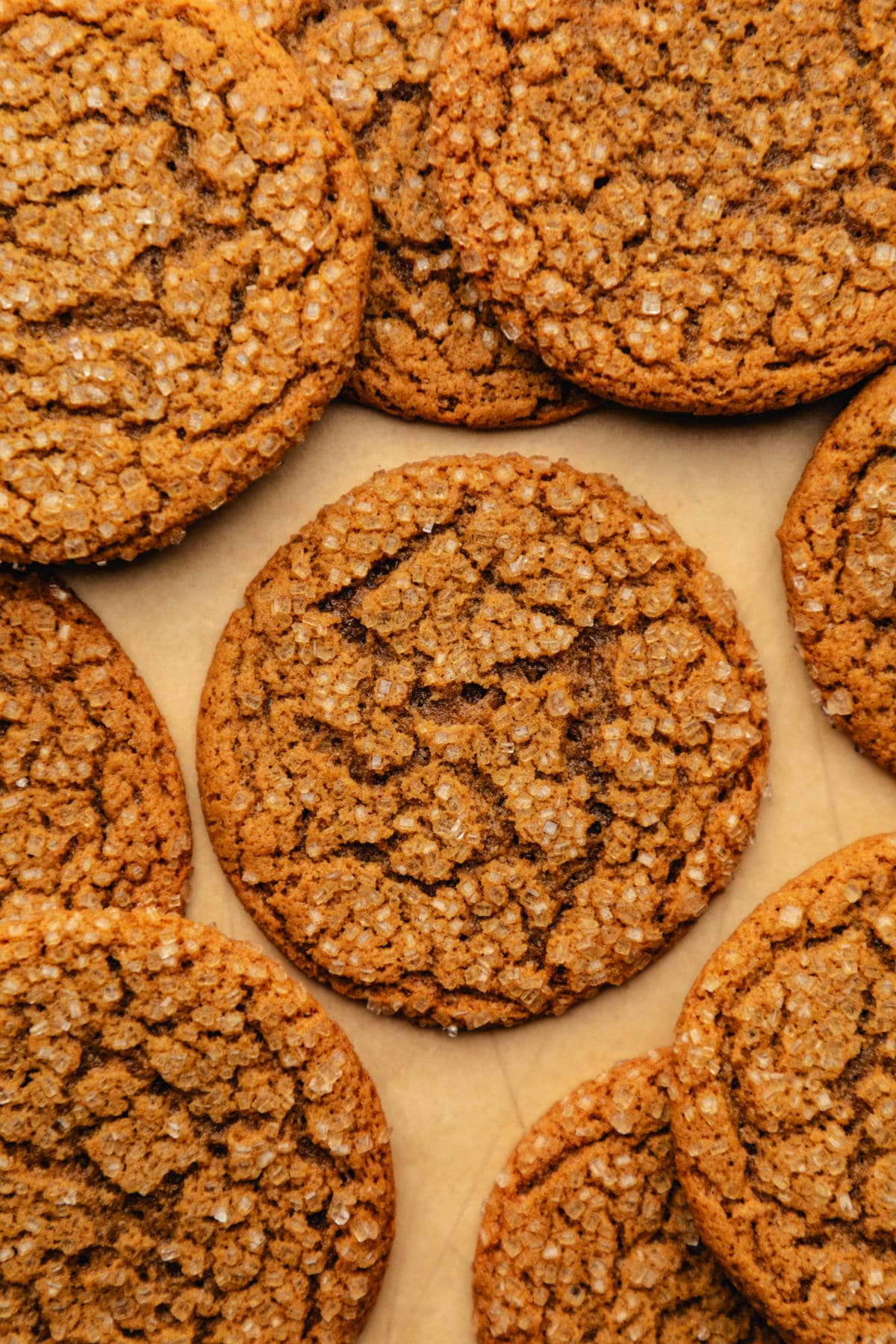 Stacks of chewy ginger molasses cookies around a cookie in the center. 