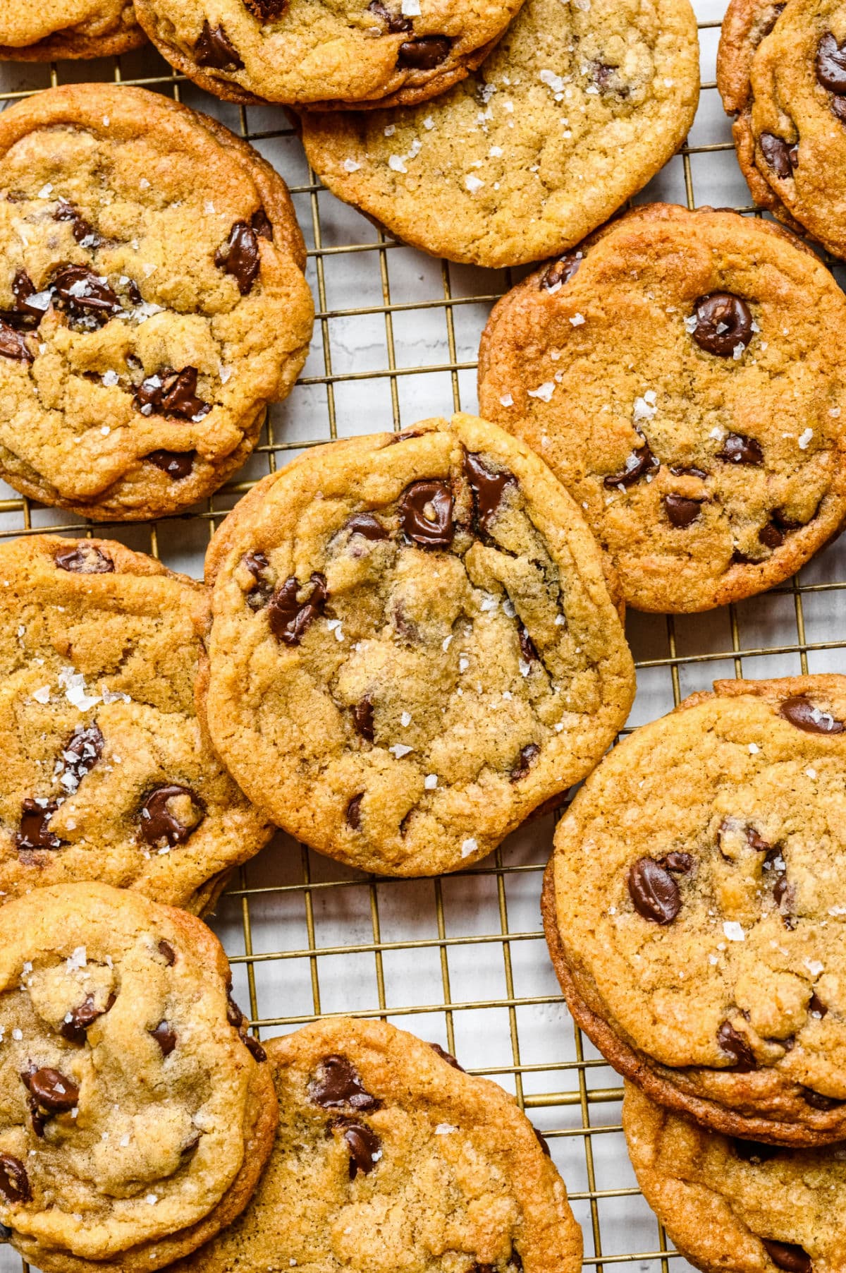 The Best Chewy Chocolate Chip Cookie Recipe Infoupdate