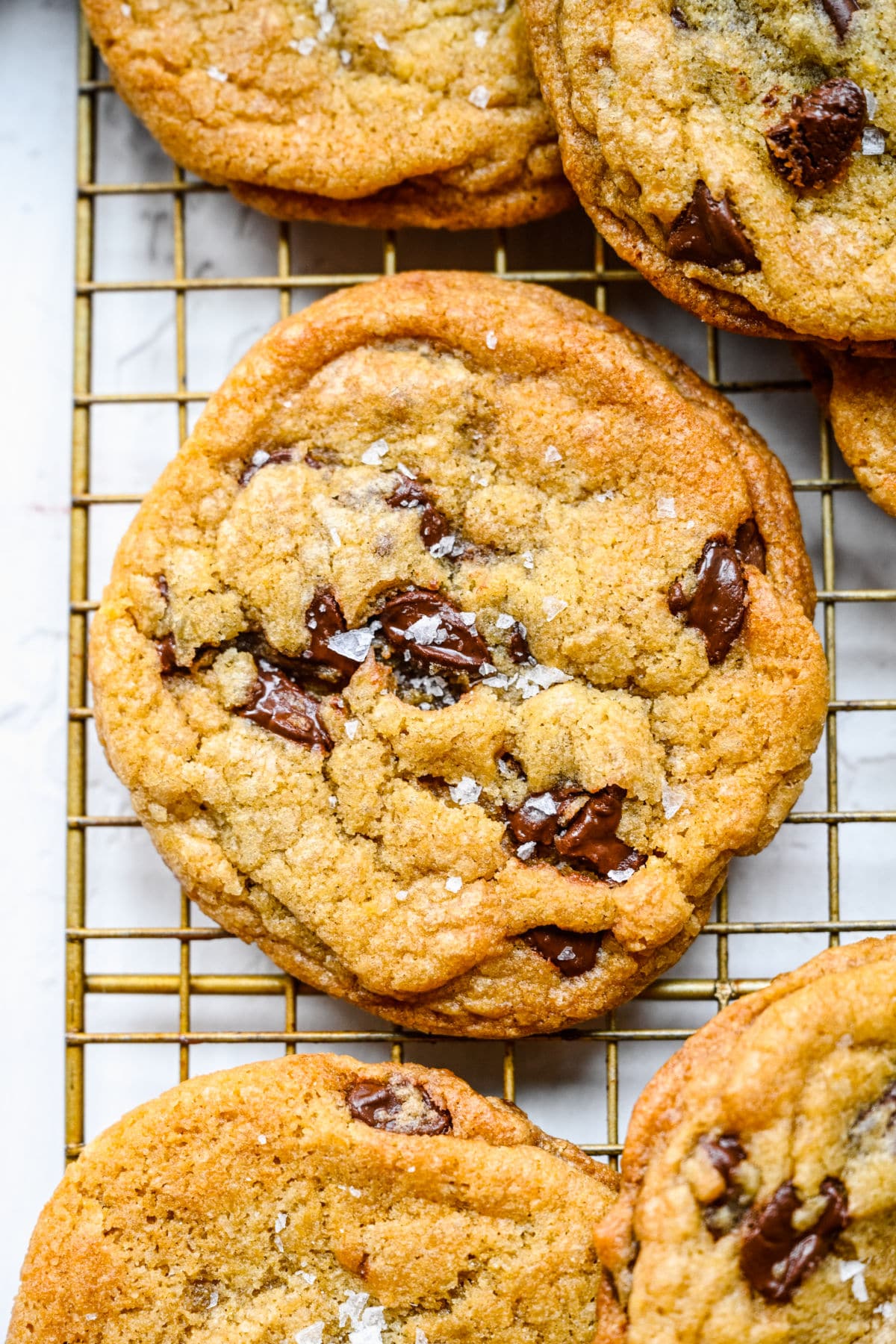 Close up photo of a chewy chocolate chip cookie on a wire cooling rack.