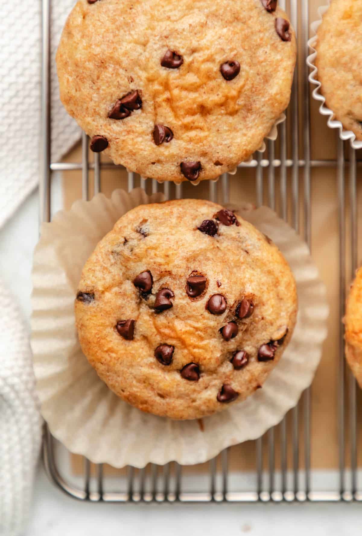Two chocolate chip Greek yogurt muffins on a wire cooling rack.