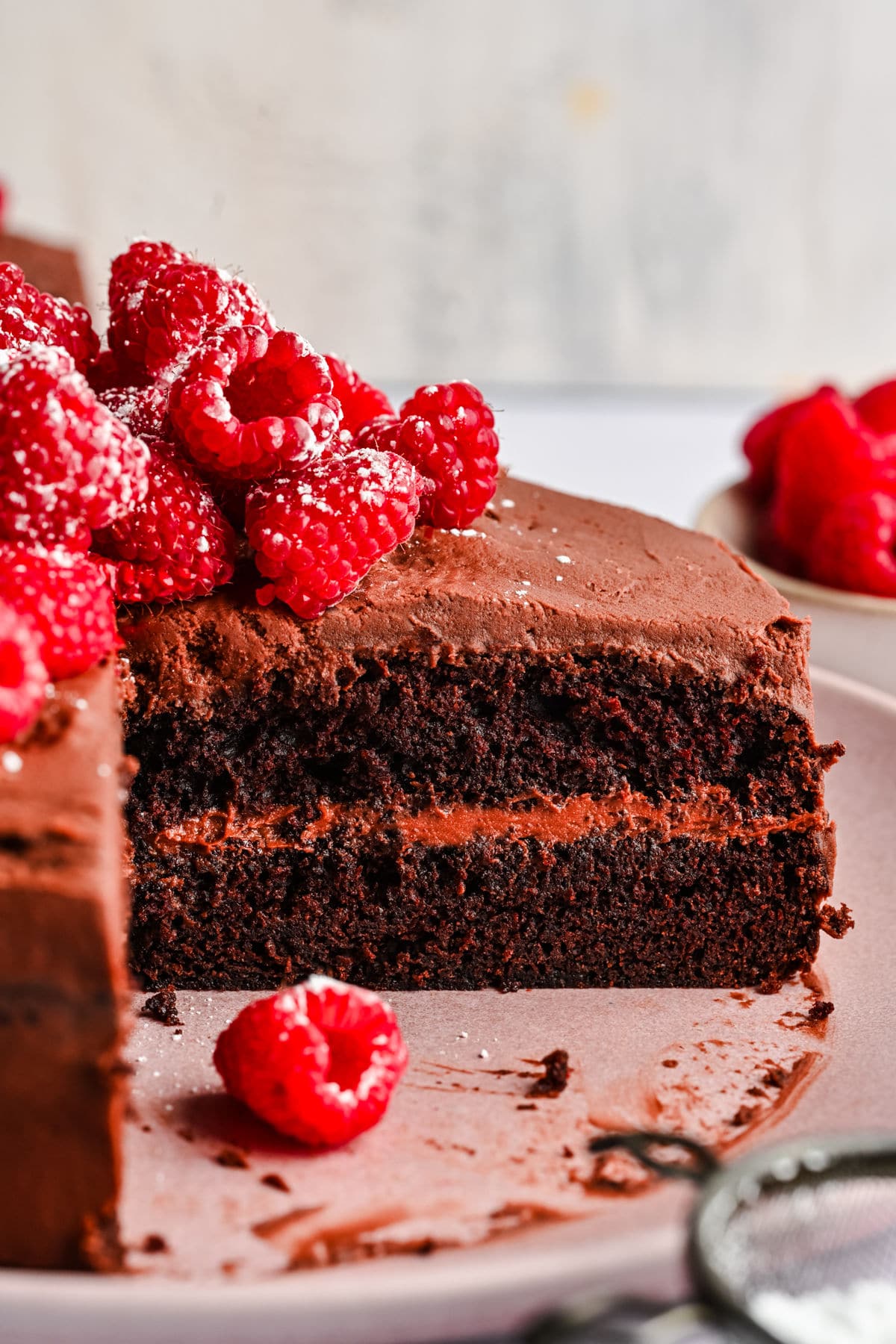 A close up cut section of chocolate brownie cake. 