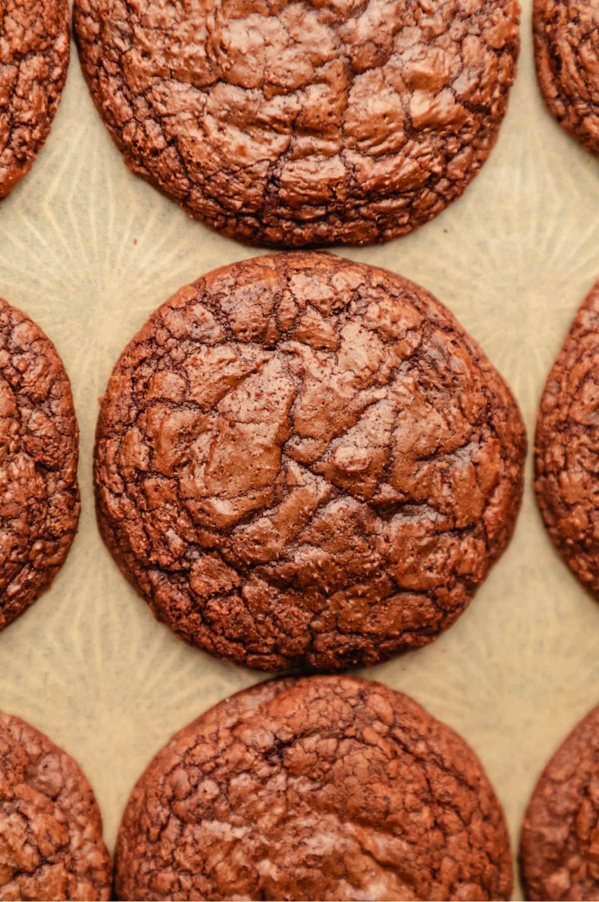 Rows of brownie cookies on brown parchment paper.